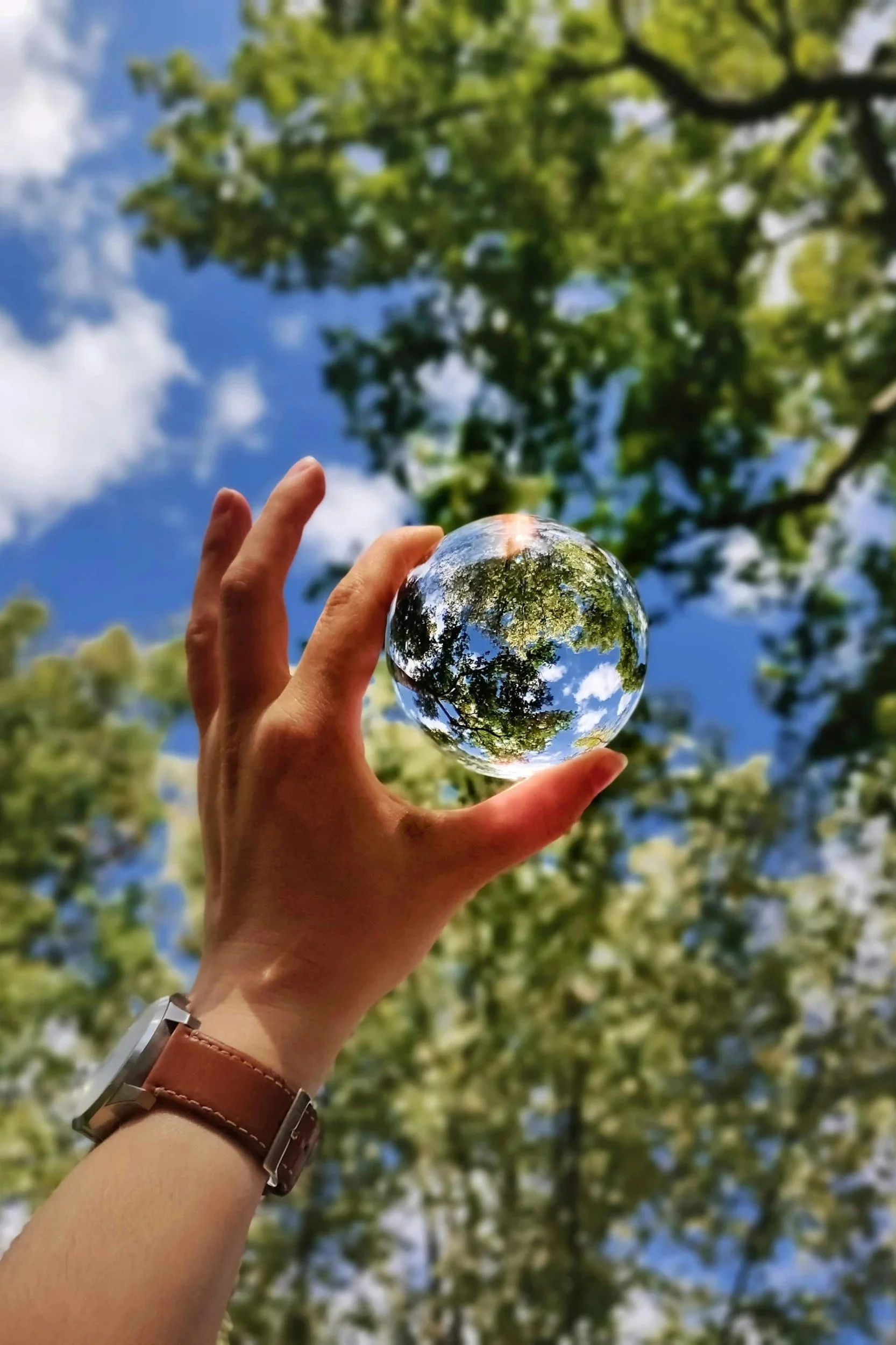 A person holding a small glass sphere with trees and sky reflected inside it, with trees and blue sky with clouds in the background.