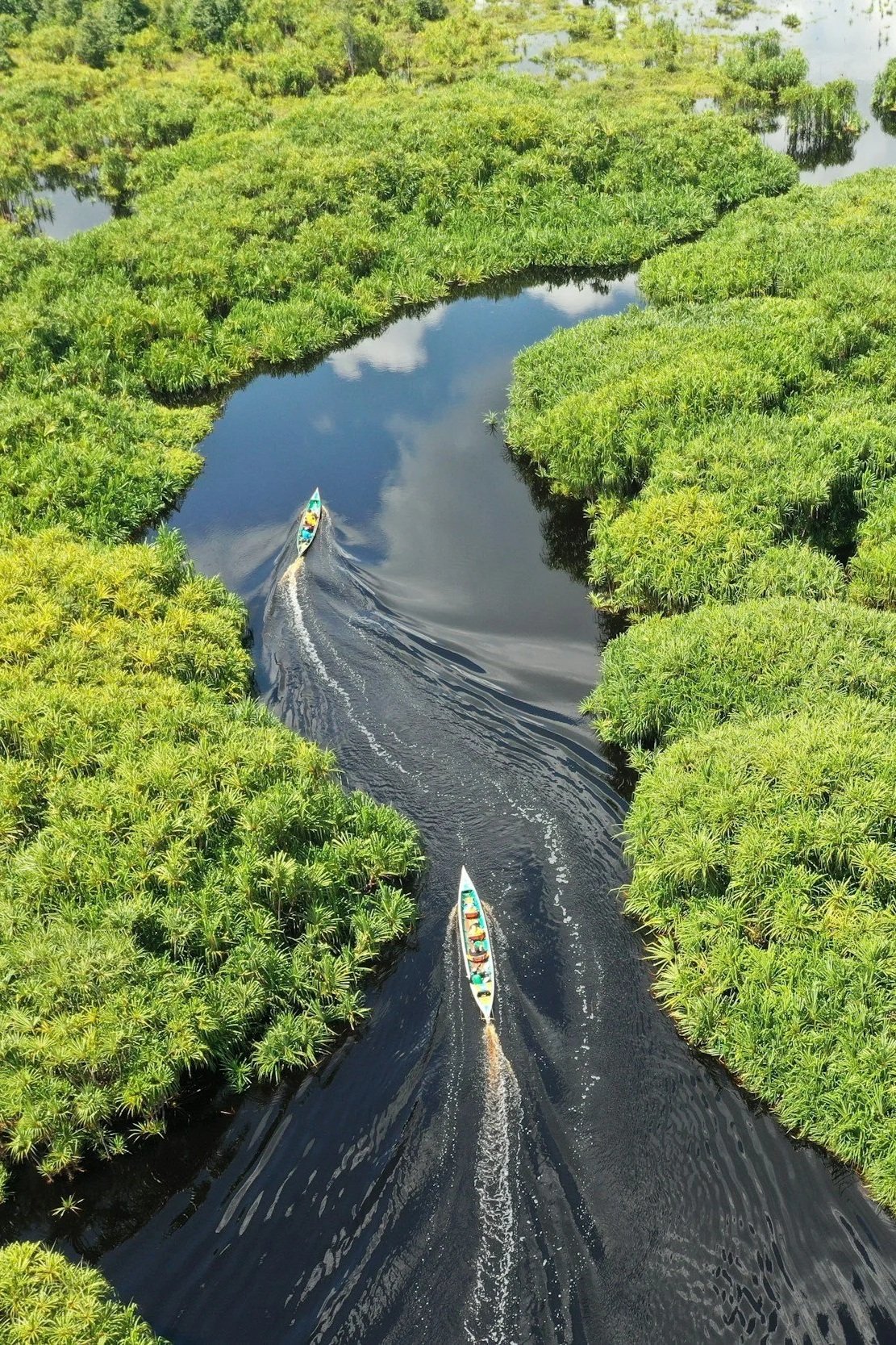 Two boats are traveling on a narrow, winding river surrounded by dense green foliage and trees.