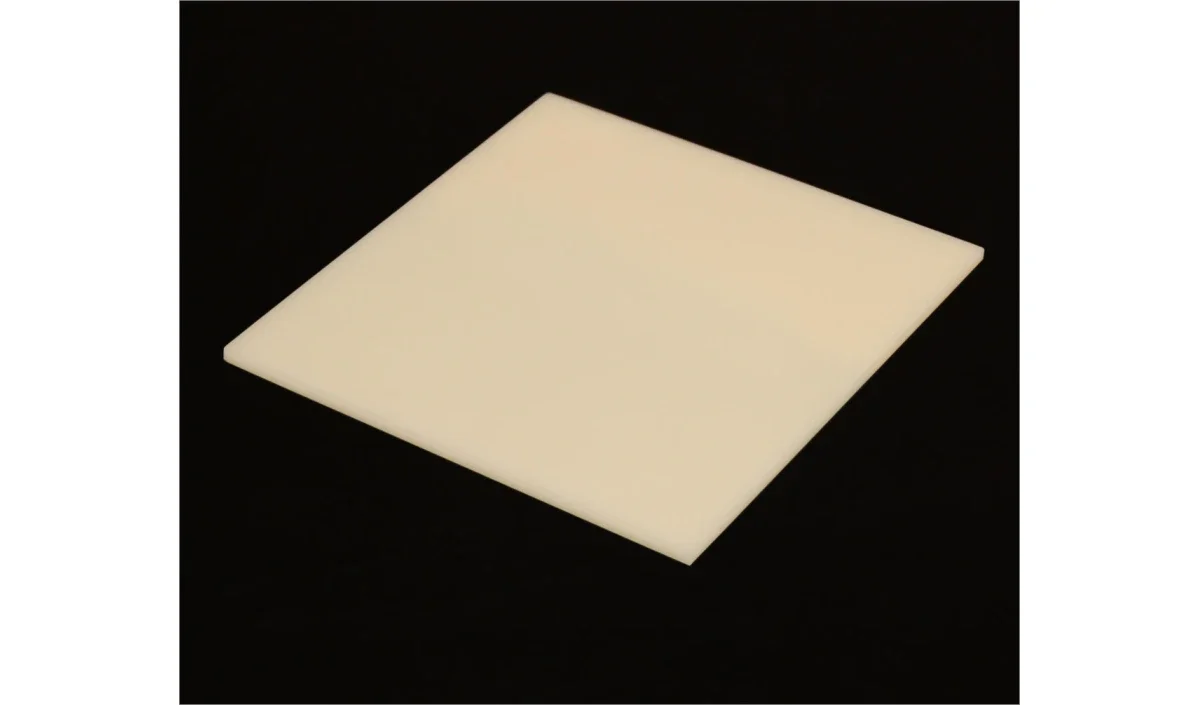 ivory.webp