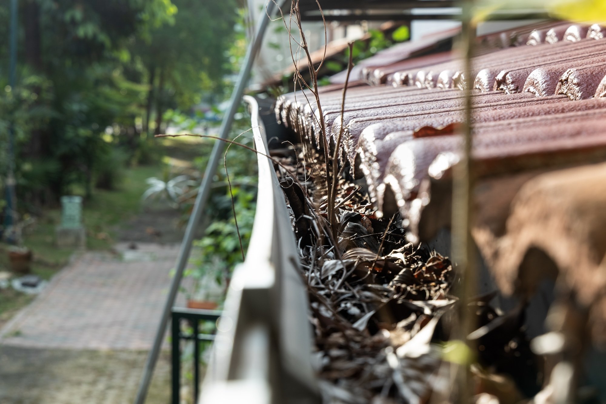 Close-up of a wooden park bench with dried leaves and twigs on it, in an outdoor setting with trees in the background.