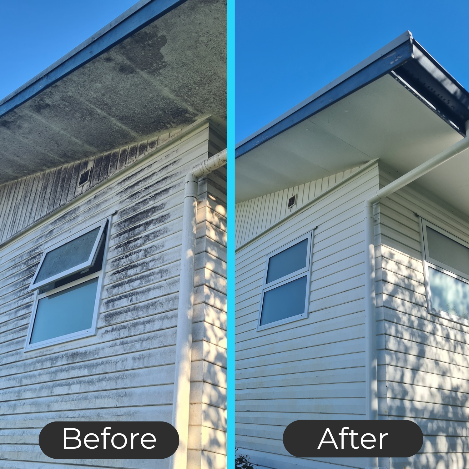 Side-by-side comparison of a house exterior showing dirty, moldy siding and clean, fresh siding after cleaning. The 'before' side has grime and mildew, while the 'after' side appears bright and well-maintained.