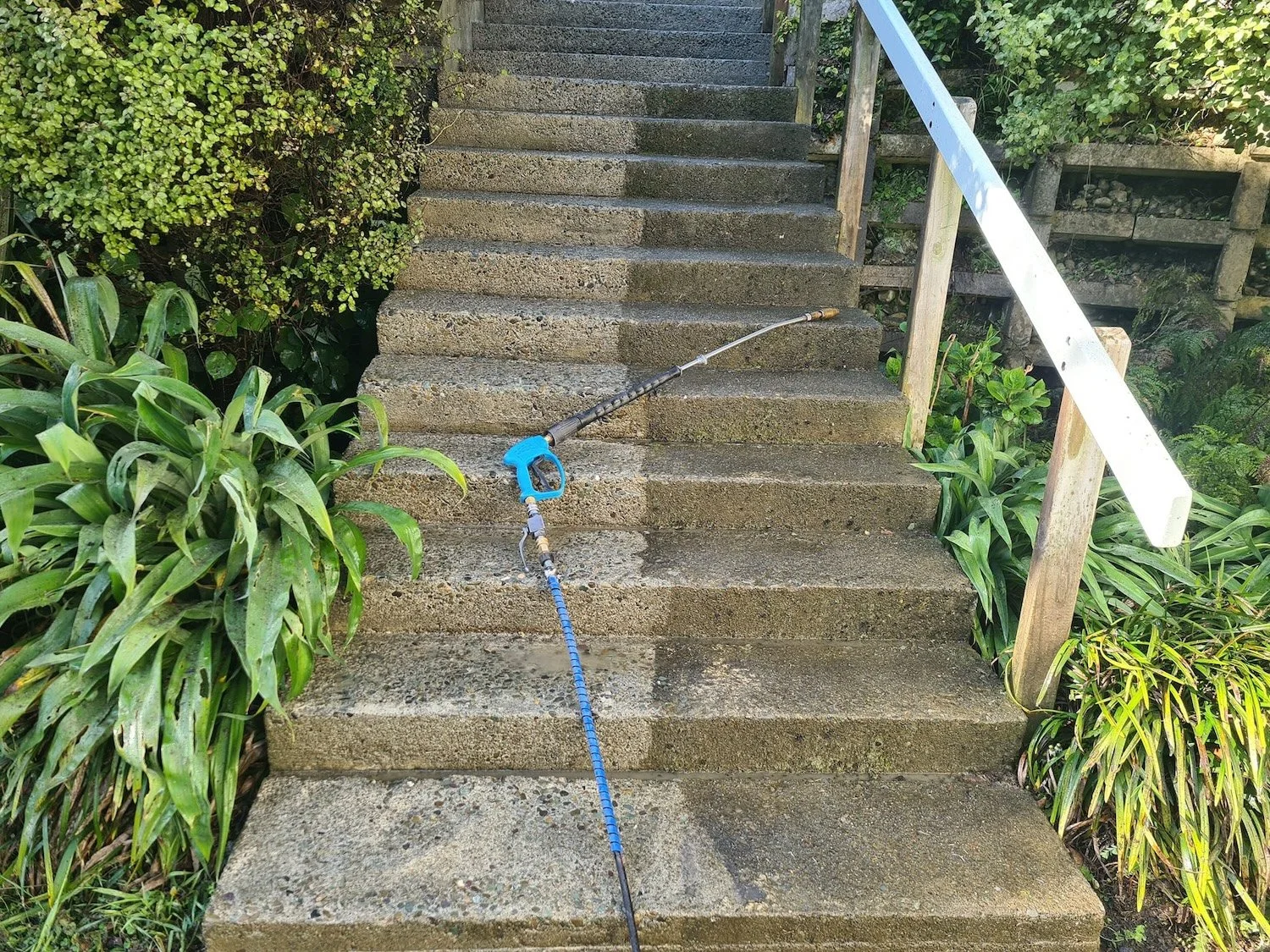 Outdoor concrete staircase being pressure washed, surrounded by green plants and bushes, with a white handrail on the right side.