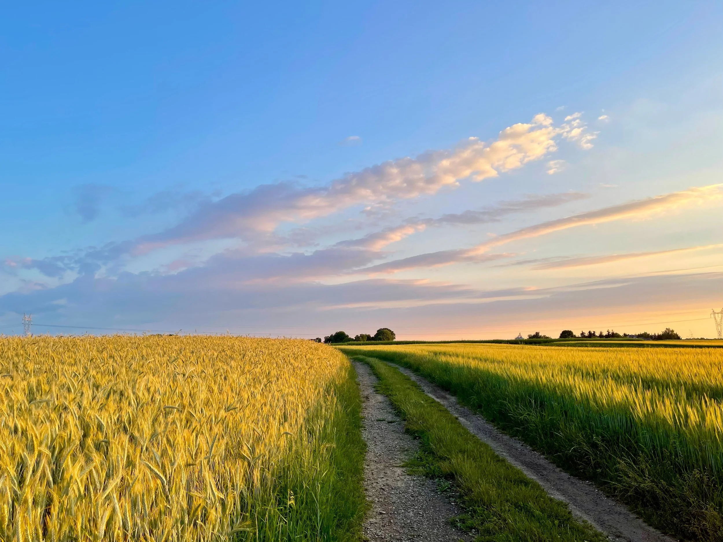 Finding Grace, Compassion, and Connection Through Grief: Mellissa’s Story