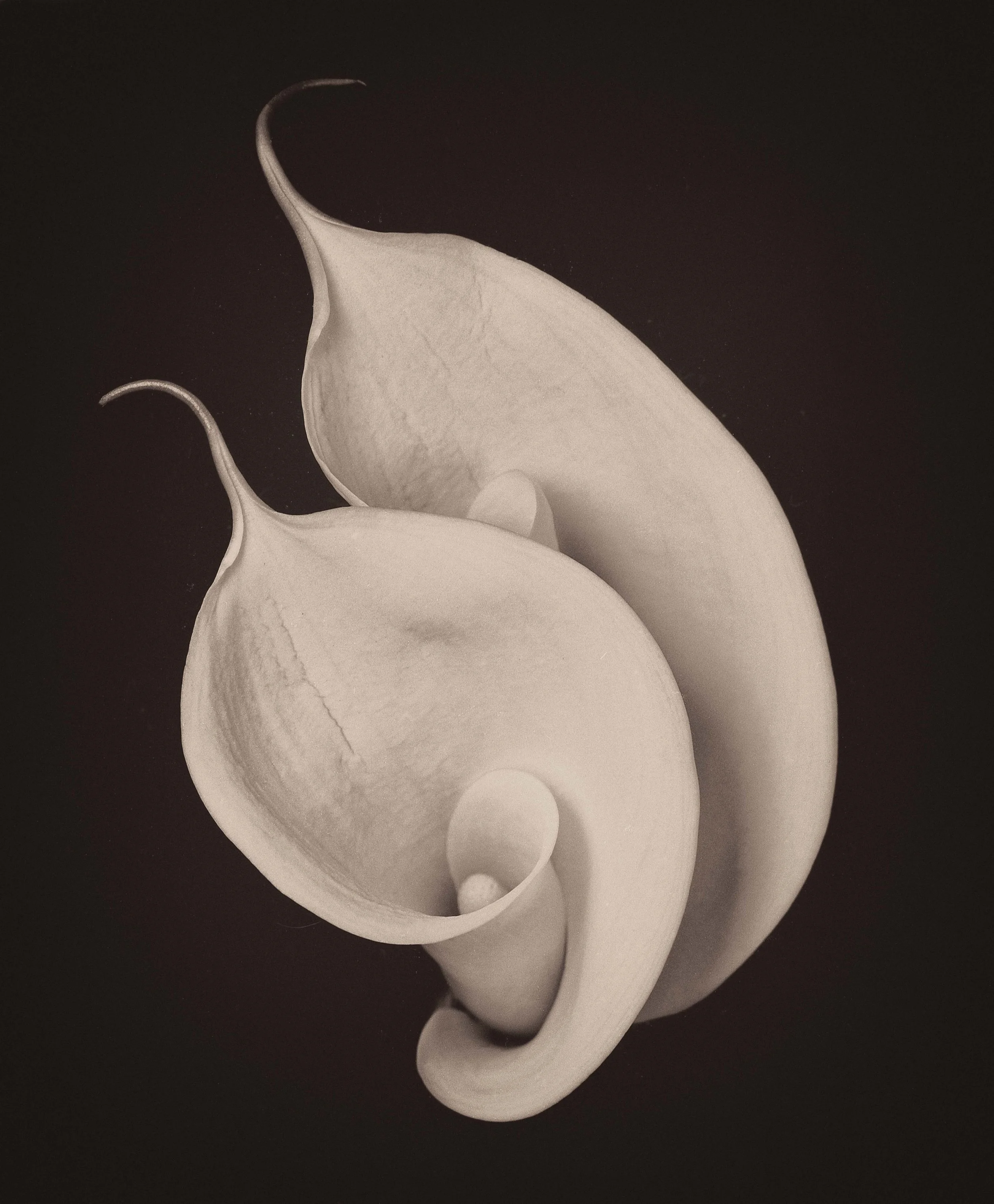 img1739-Edit-Edit.jpg