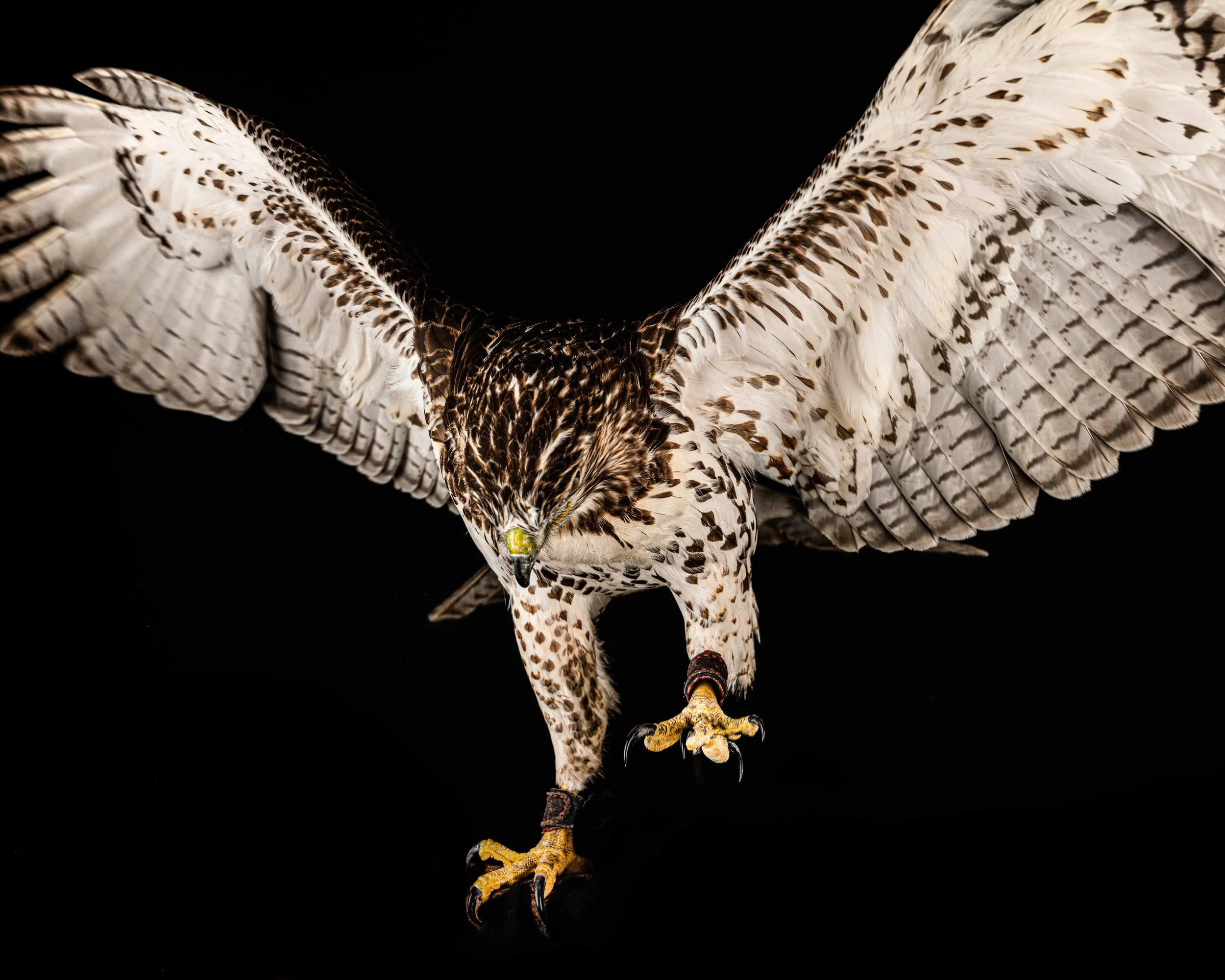 L1130091-Edit.jpg