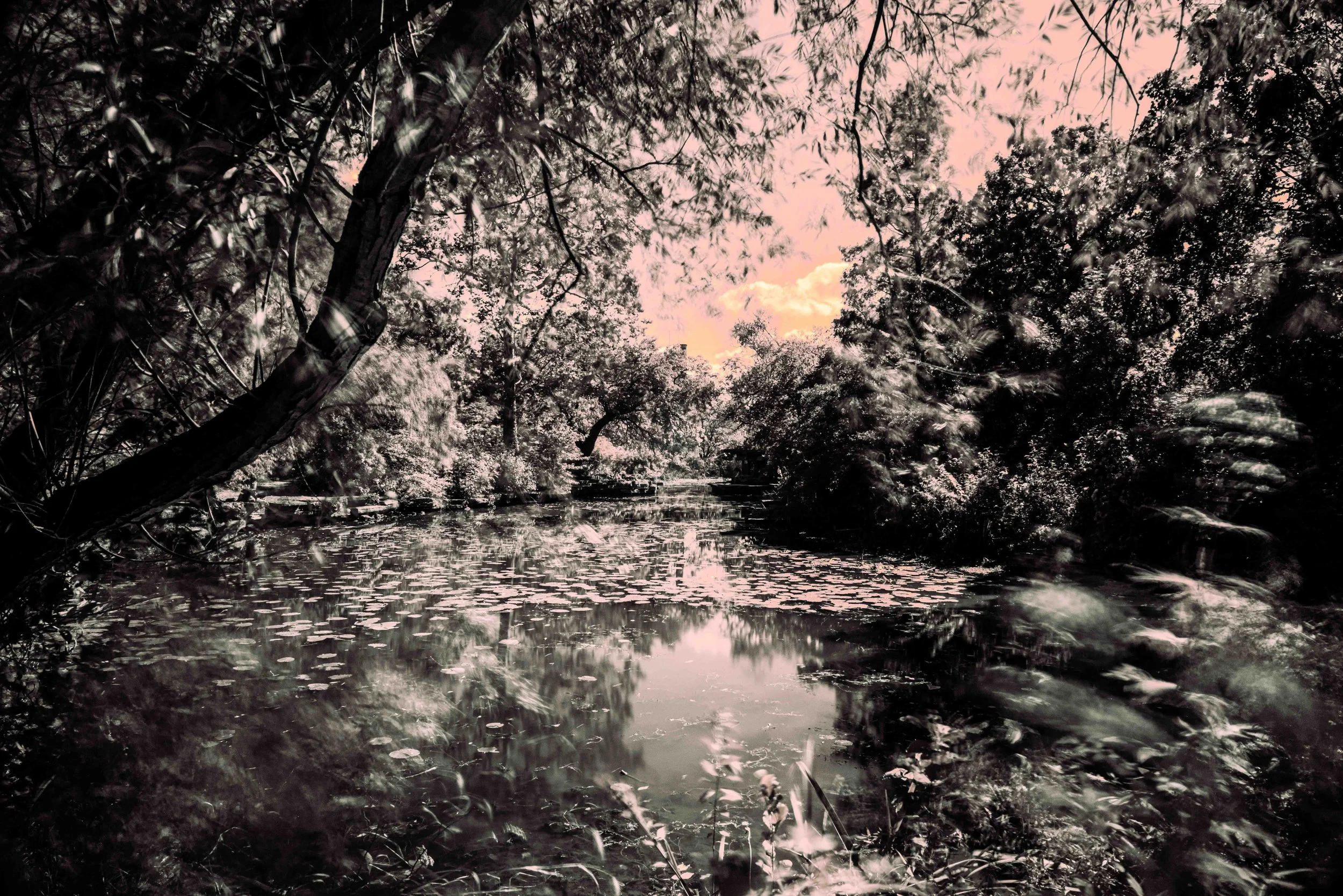 L1020048-Edit.jpg