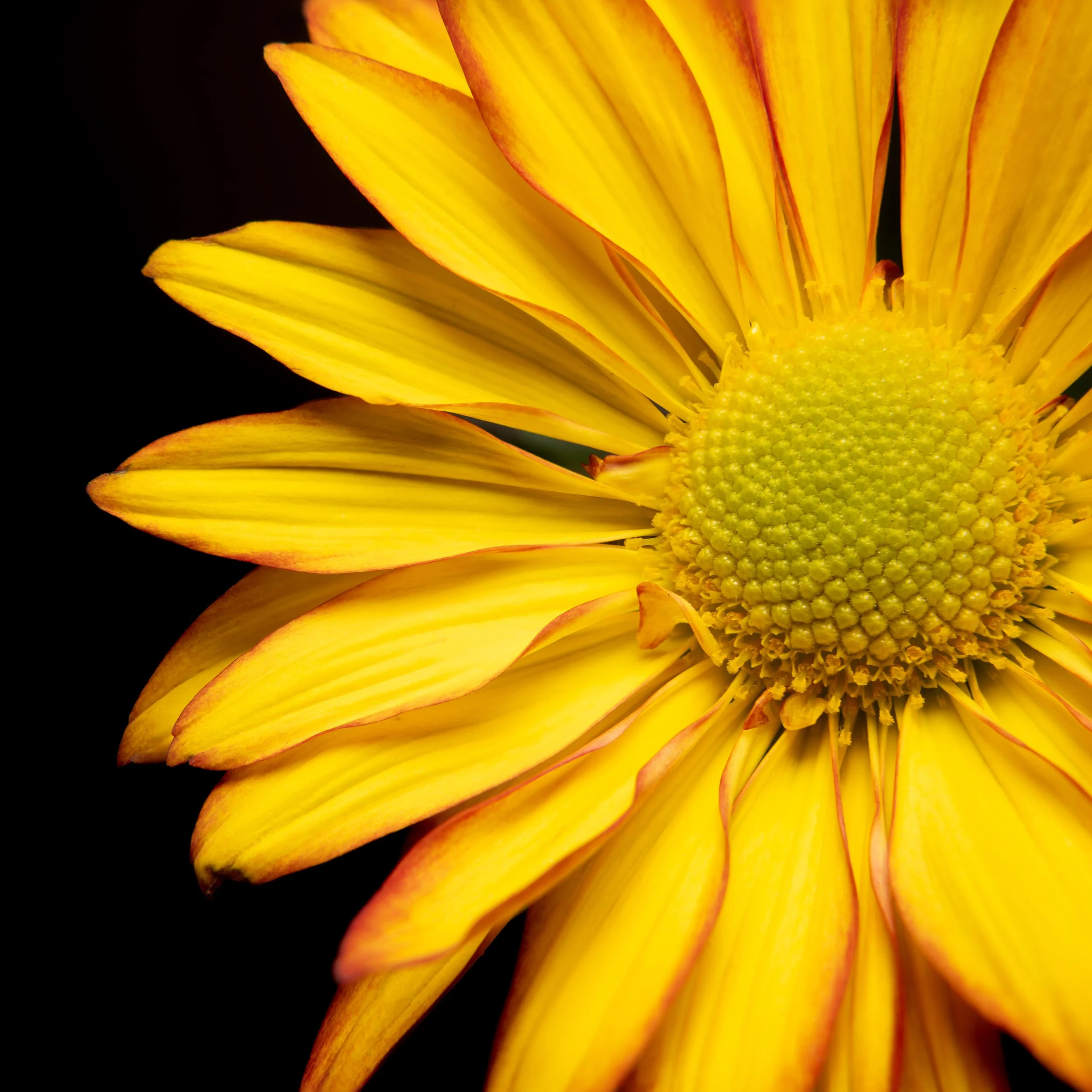L1090947.DNG (merged).jpg