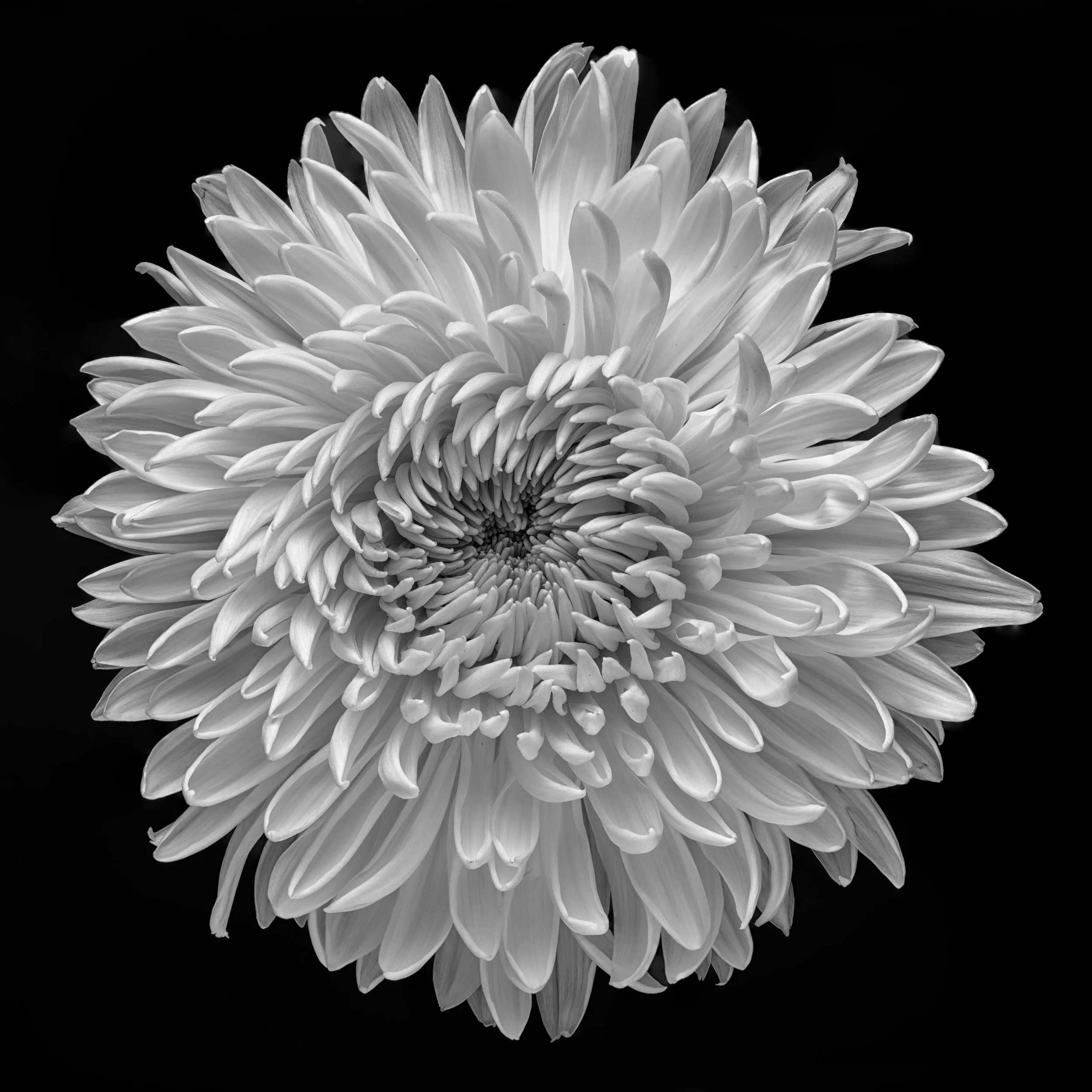 L1100643-Edit-Edit.jpg
