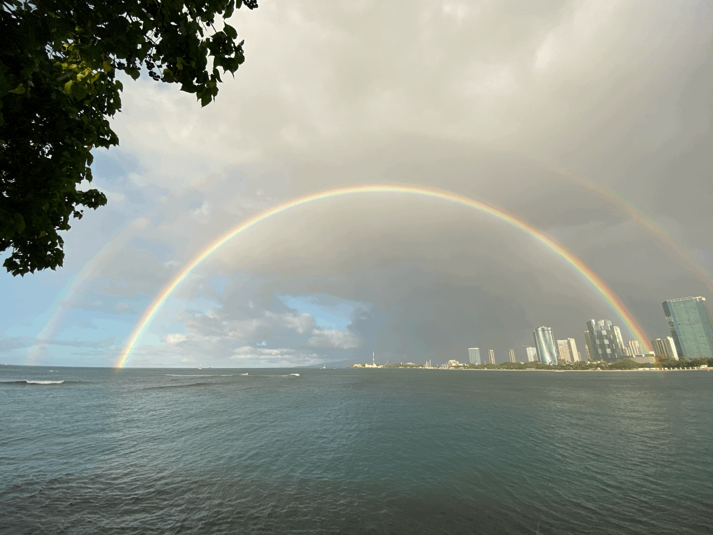 The Words I Once Received, I Passed On in Hawaii