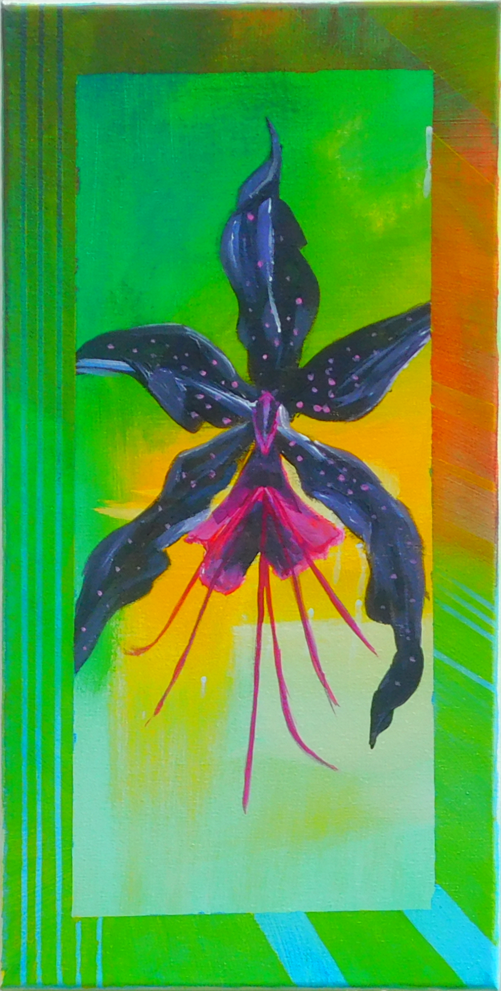 Scott_Orchid.PNG