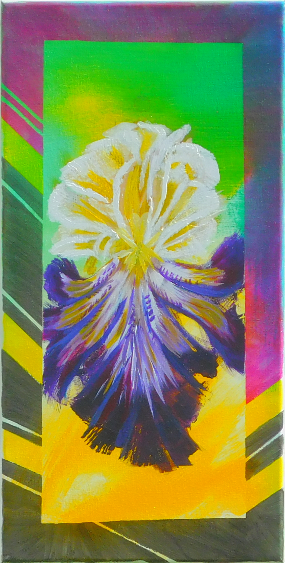 Scott_Purple Iris.PNG