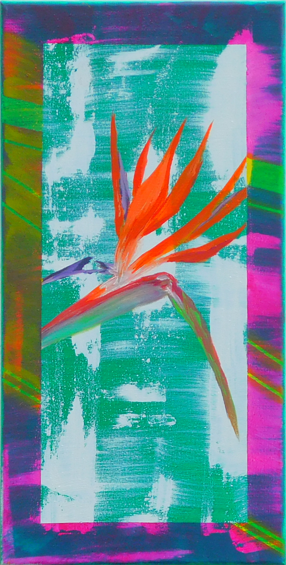 Scott_BirdofParadise.PNG