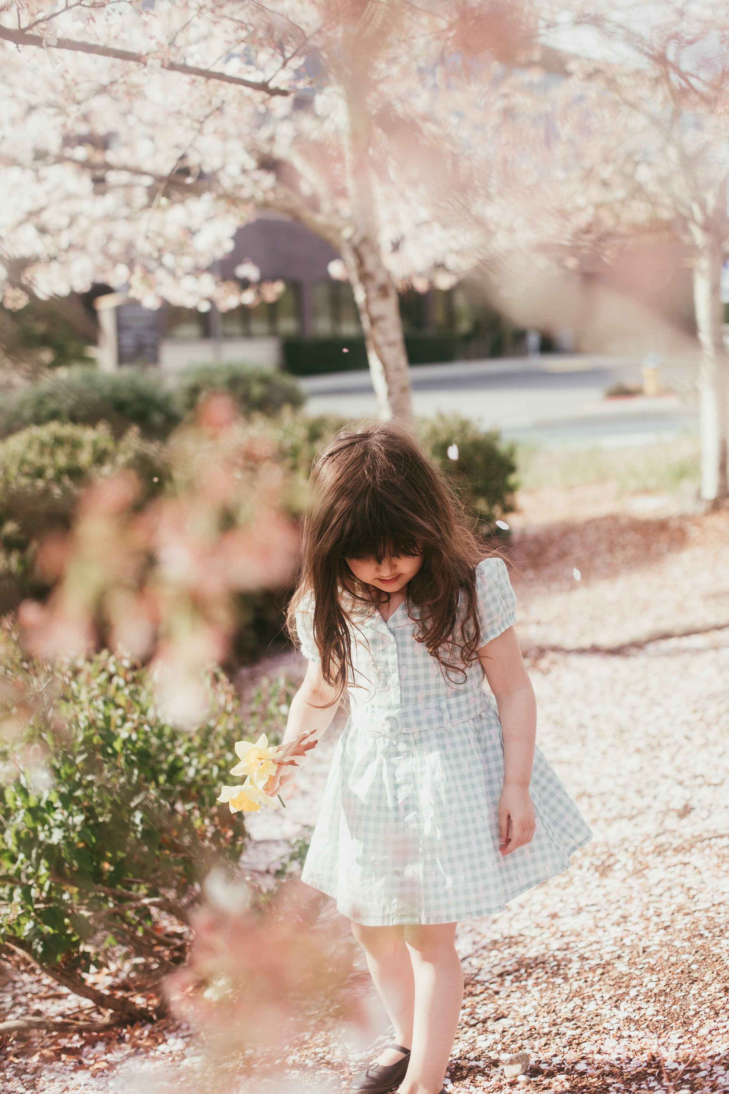 PNW Family and Birth Photographer