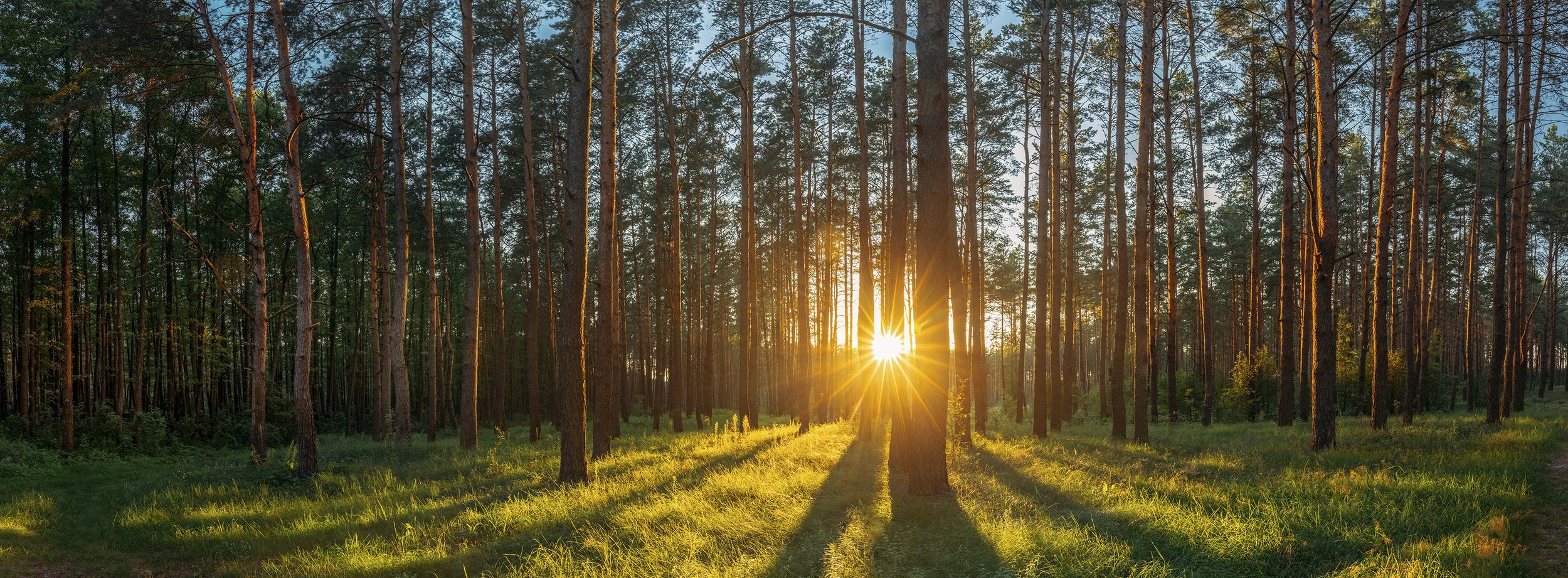Counsellor and psychotherapist in Ballincollig, Cork. Confidential counselling for anxiety, stress, depression, grief, trauma, relationships and self-esteem.