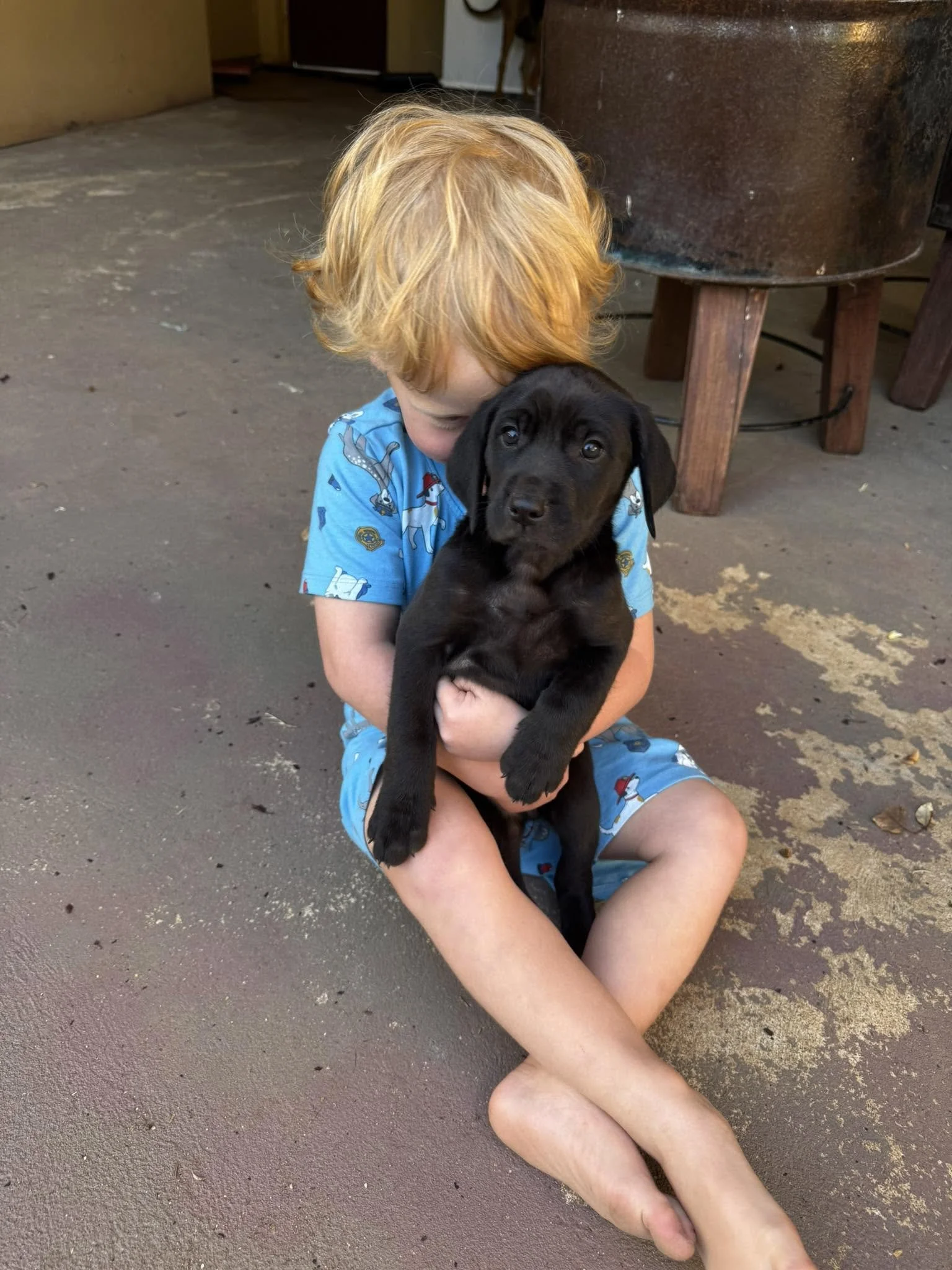 Electronic dog containment system keeping dogs safely at home across Regional Victoria, including Bendigo, Shepparton, Echuca, Albury, Wodonga, Seymour 
https://www.thedogline.com.au/