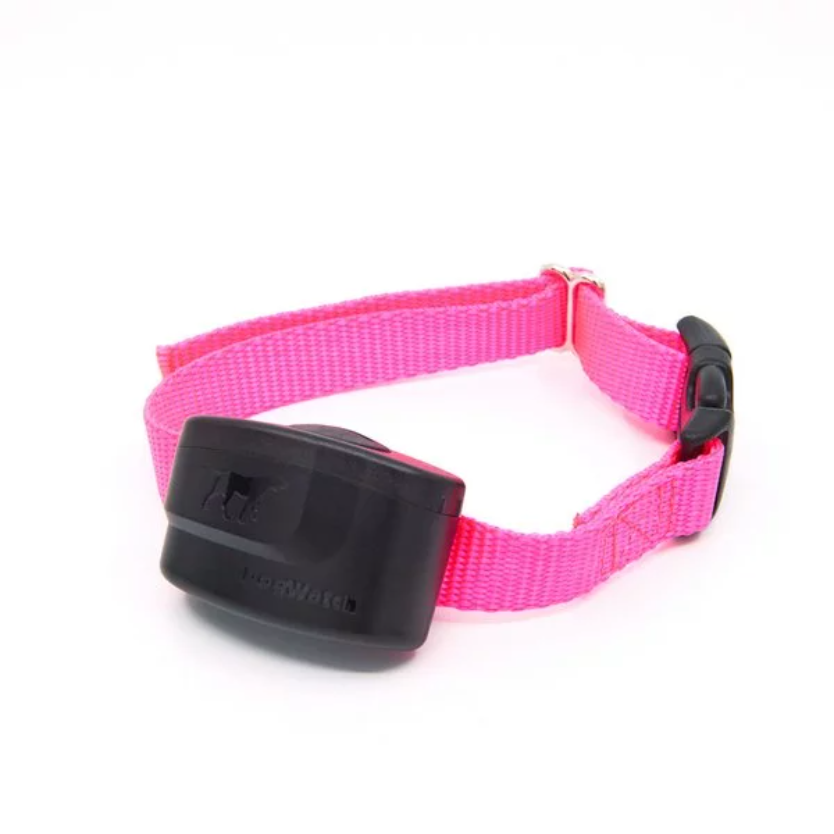 Pink.png