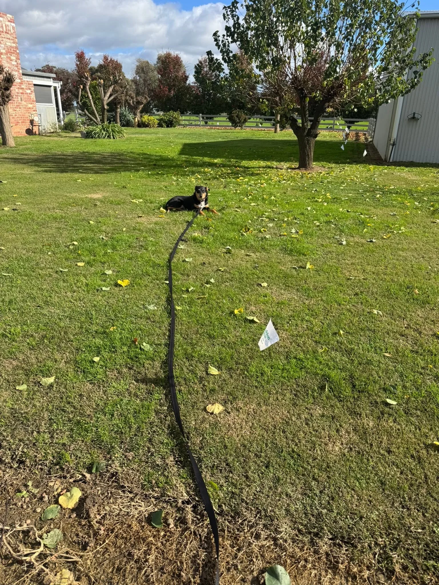 DogWatch hidden fence installed on hobby farm in Northern Victoria.
https://www.thedogline.com.au/