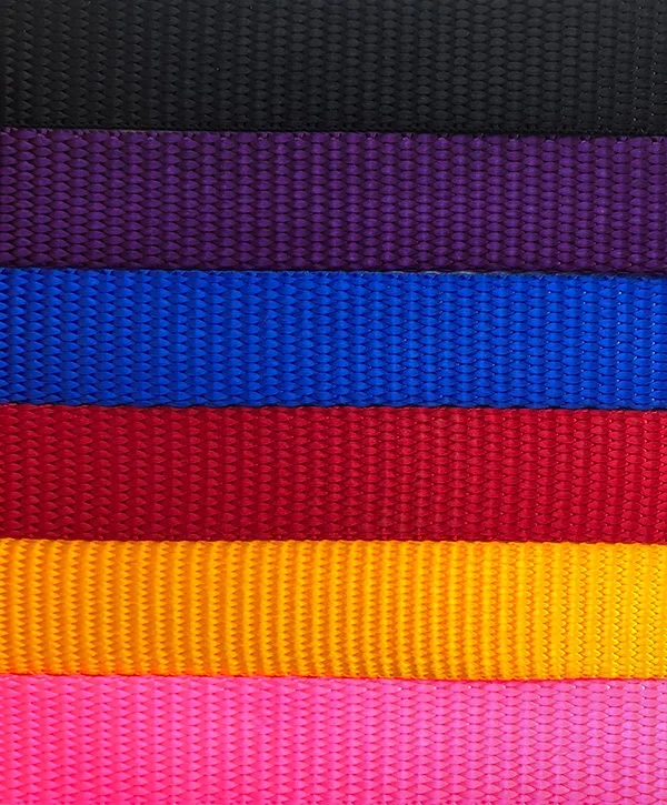 collar-colours.webp