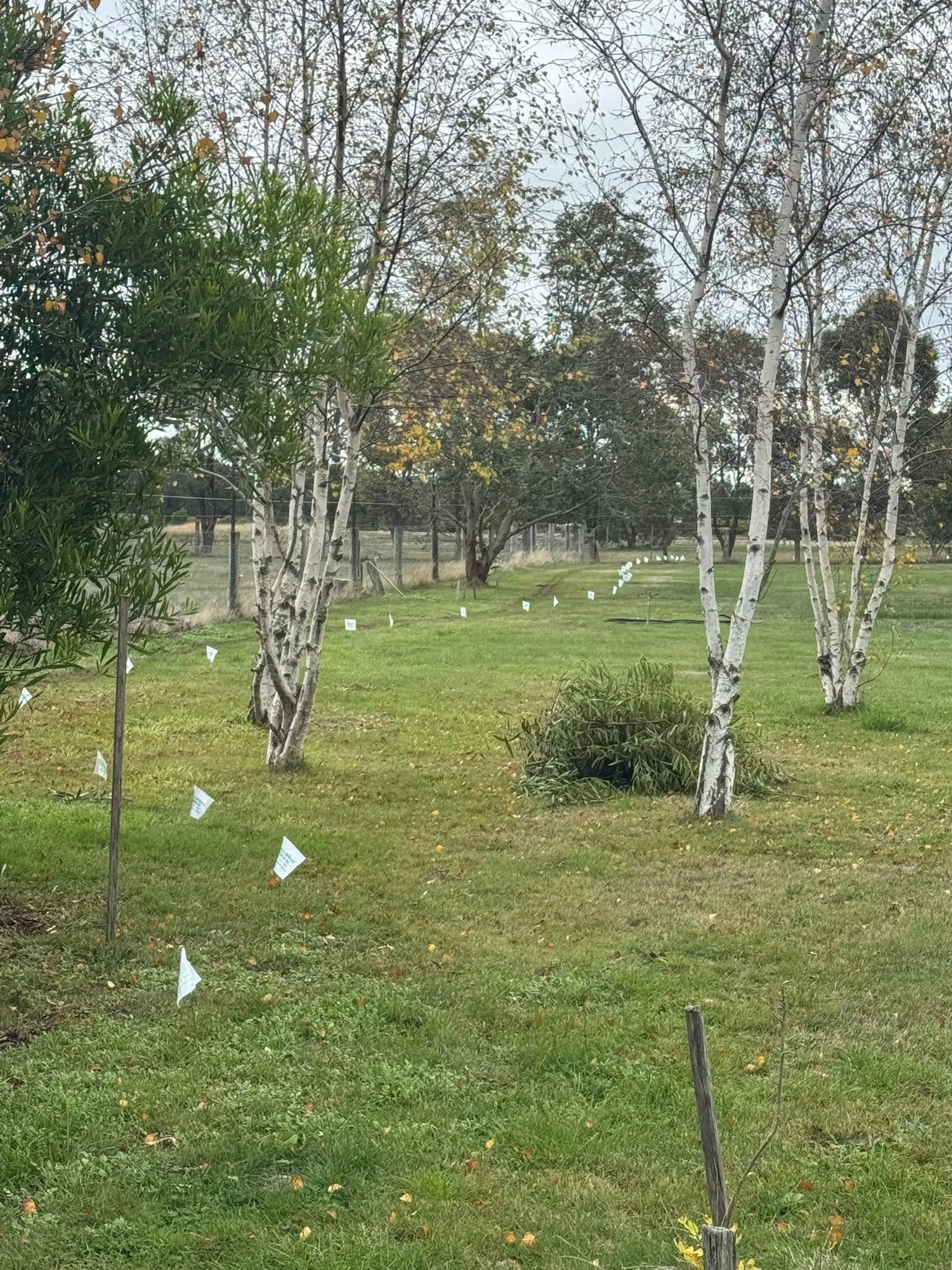 Dog containment system professionally installed by Hidden Fence Regional. 
https://www.thedogline.com.au/