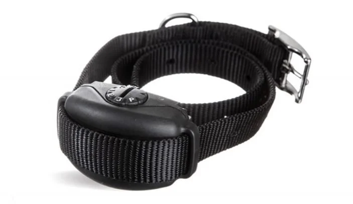 SW-5 Leash Trainer