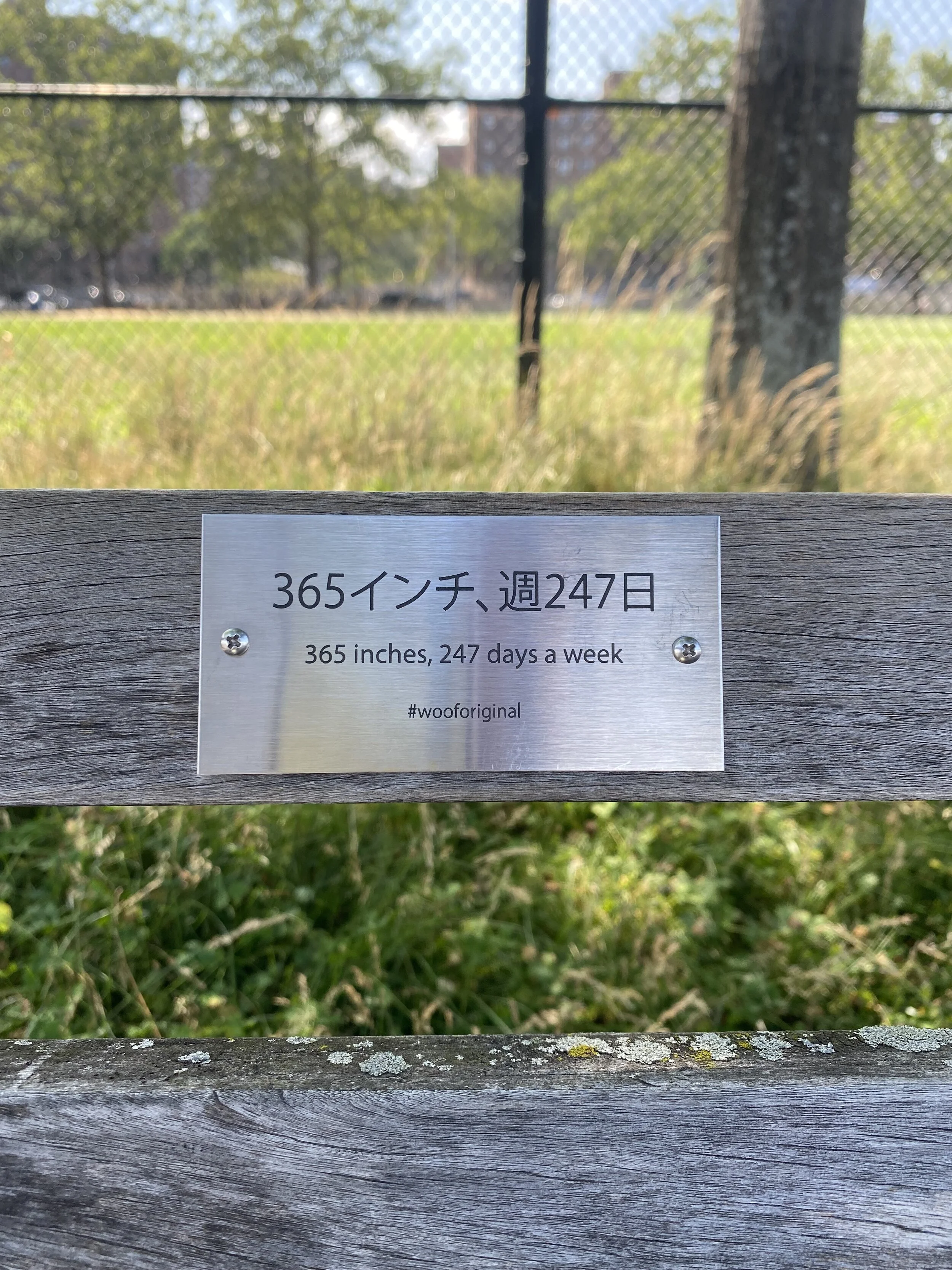 IMG-4662.jpg