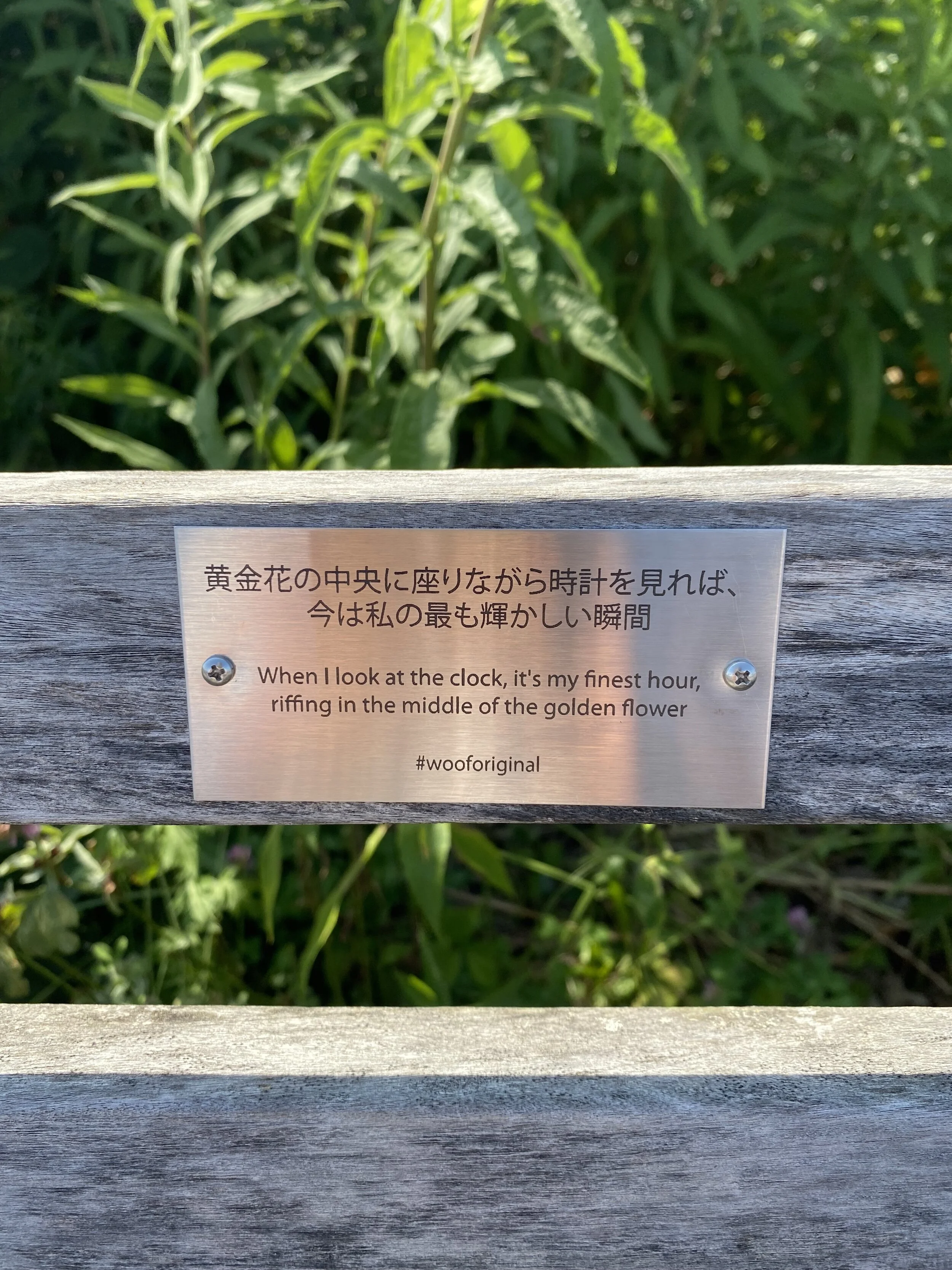 IMG-4666.jpg