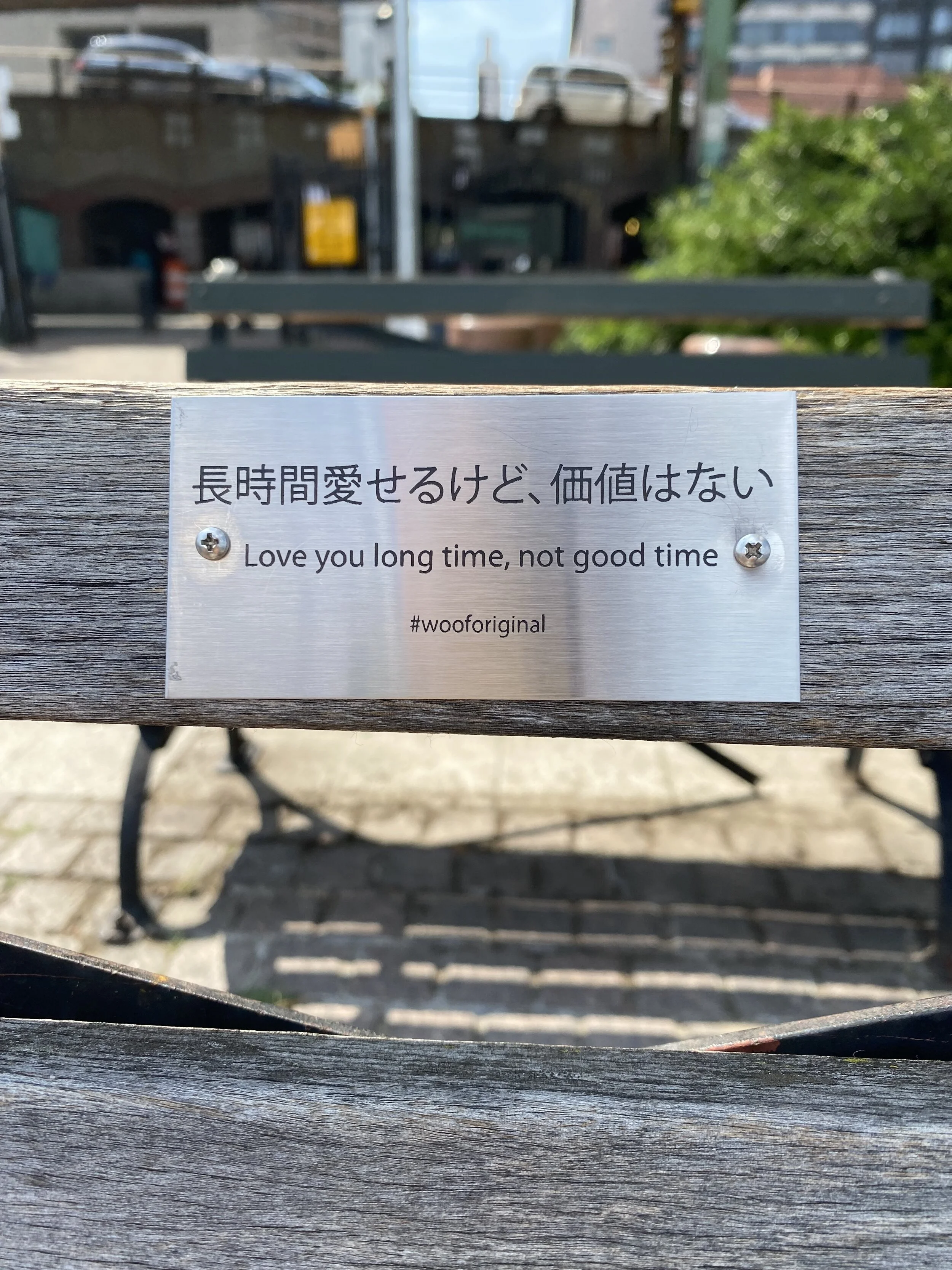 IMG-4656.jpg