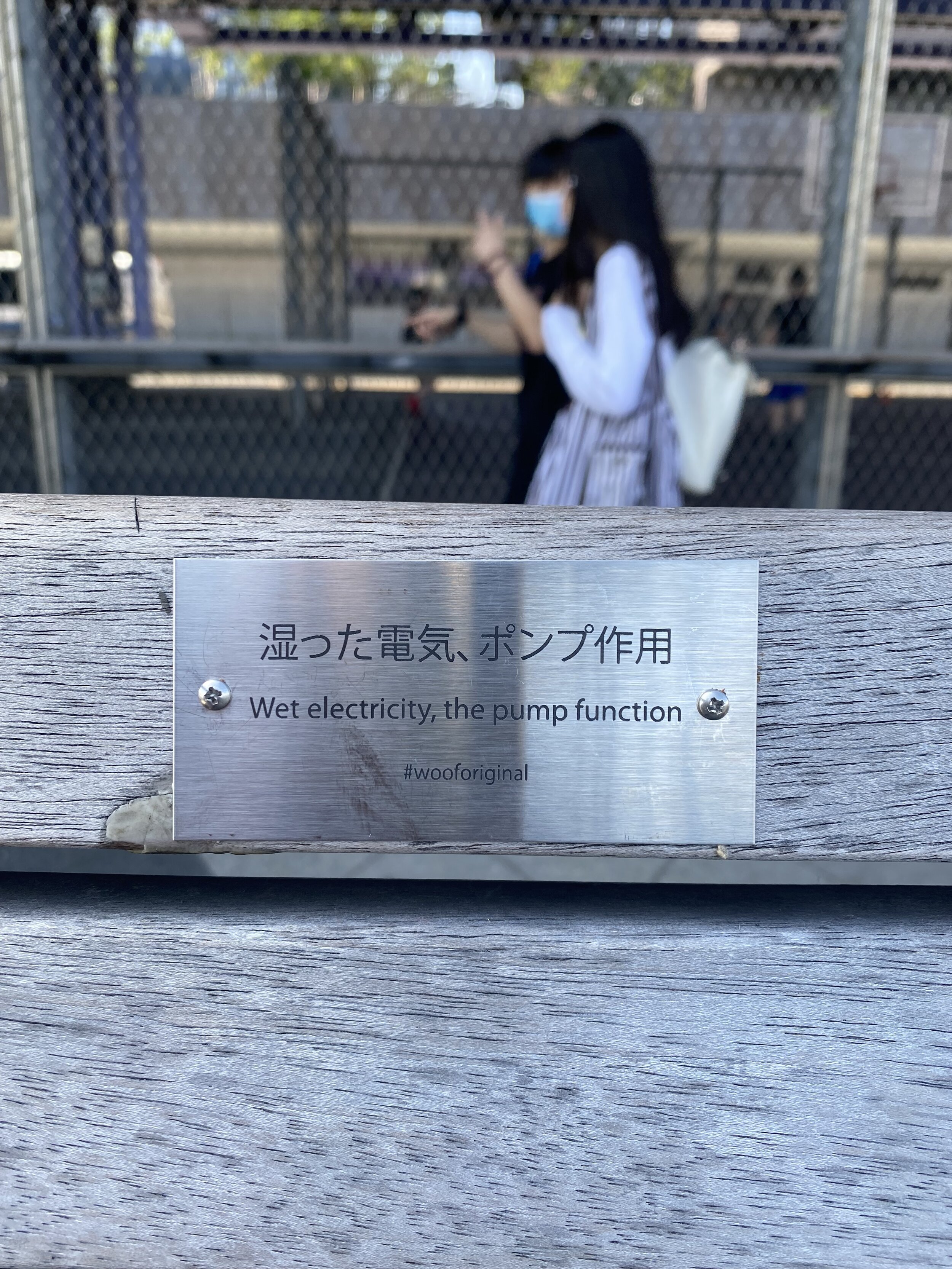IMG-4670.jpg