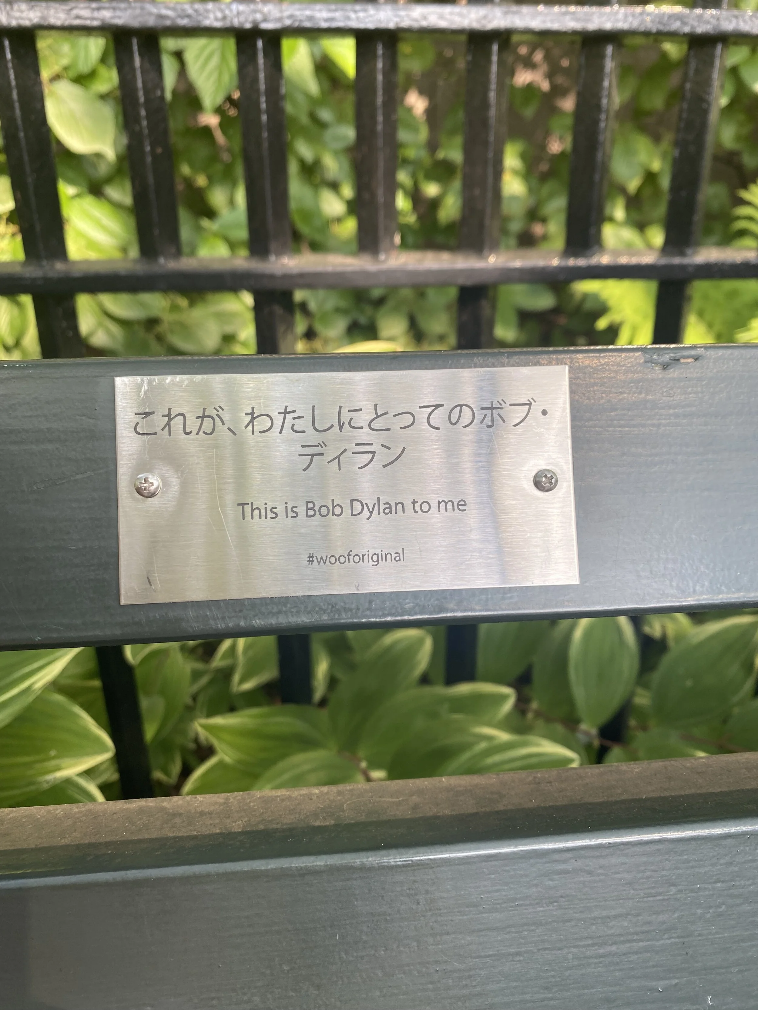 IMG-4676.jpg