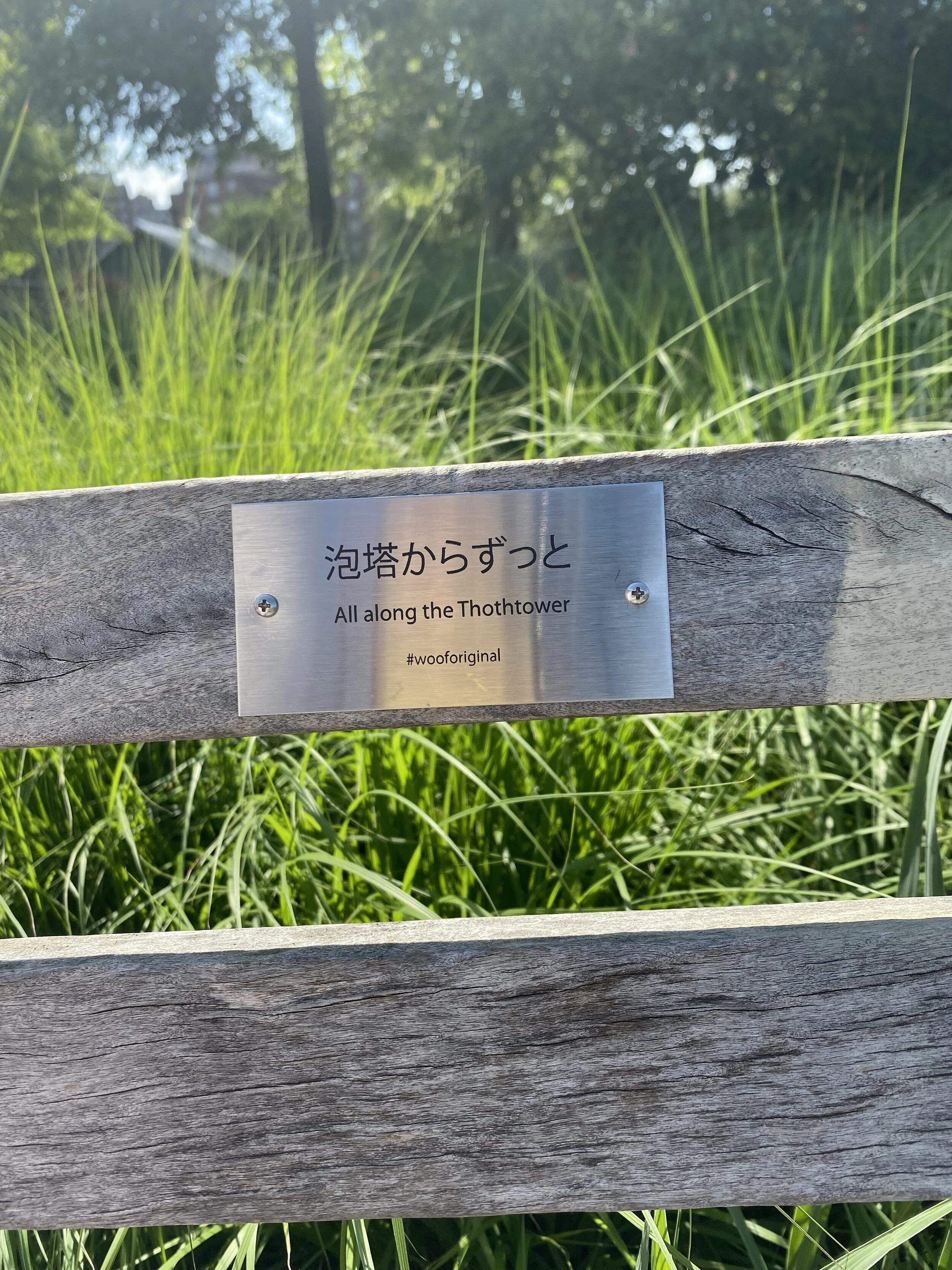 IMG-4661.jpg