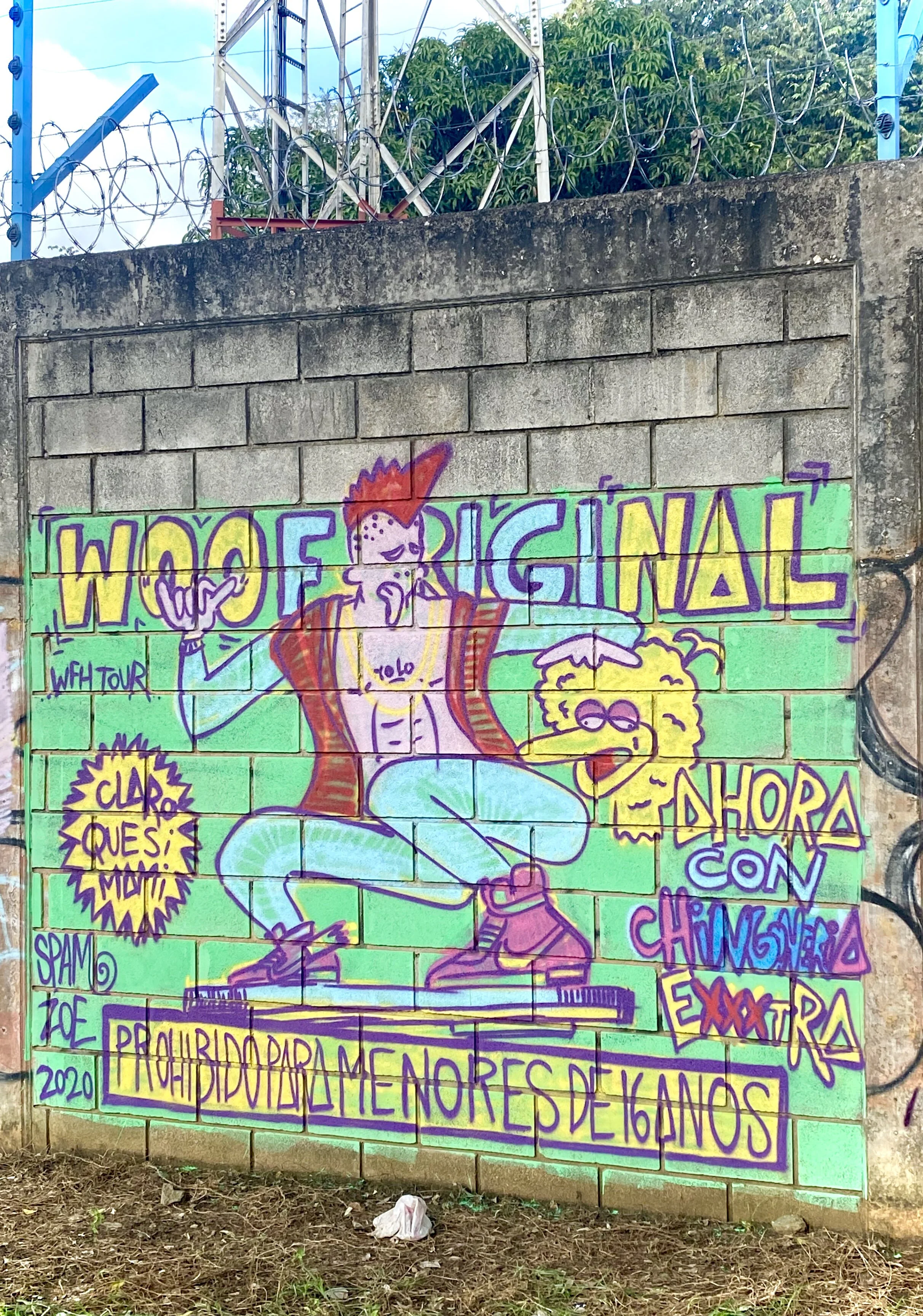 IMG_1609.JPEG