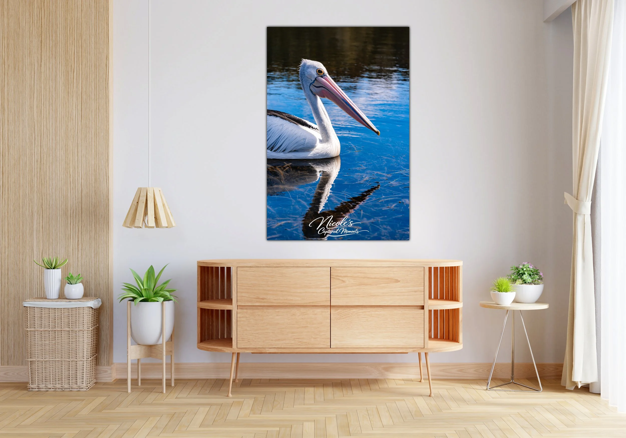 Pelican 2.jpg