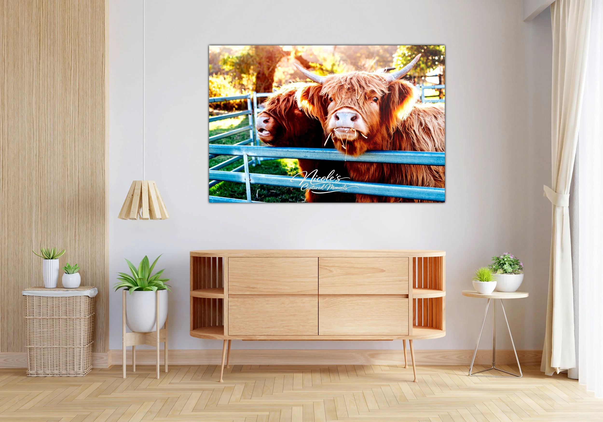 Highland Cow Wall Art Print