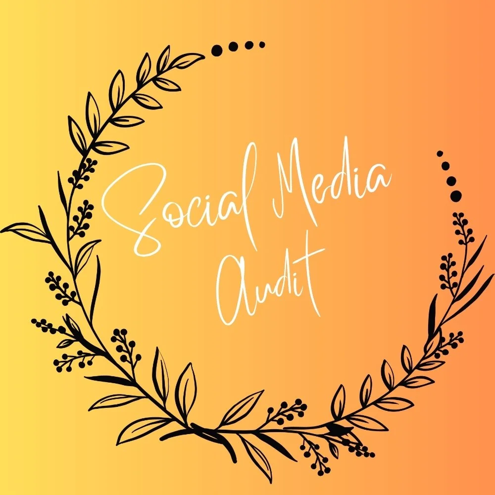 Social Media Audit
