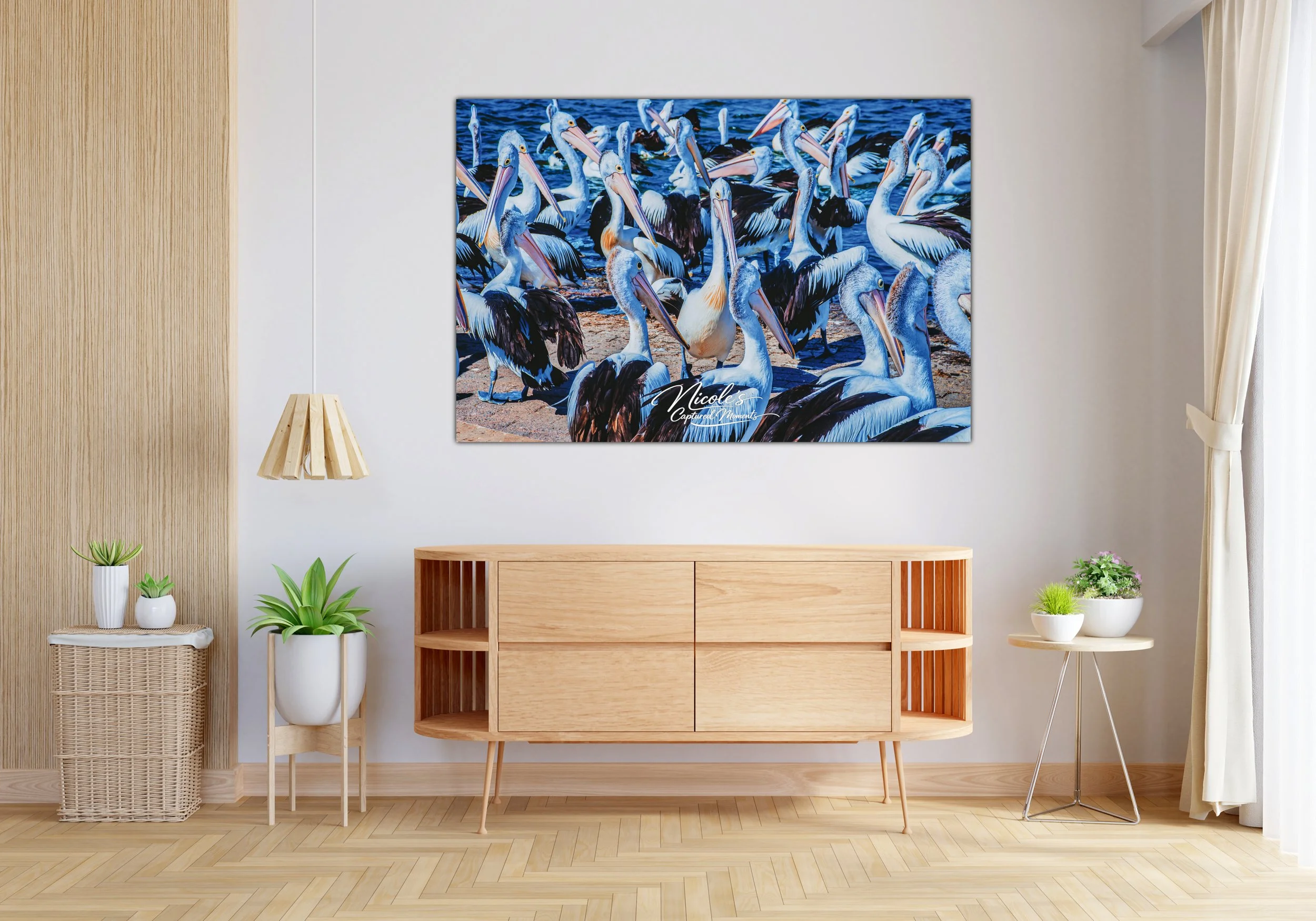 Pelican Feeding | Wall Art Print