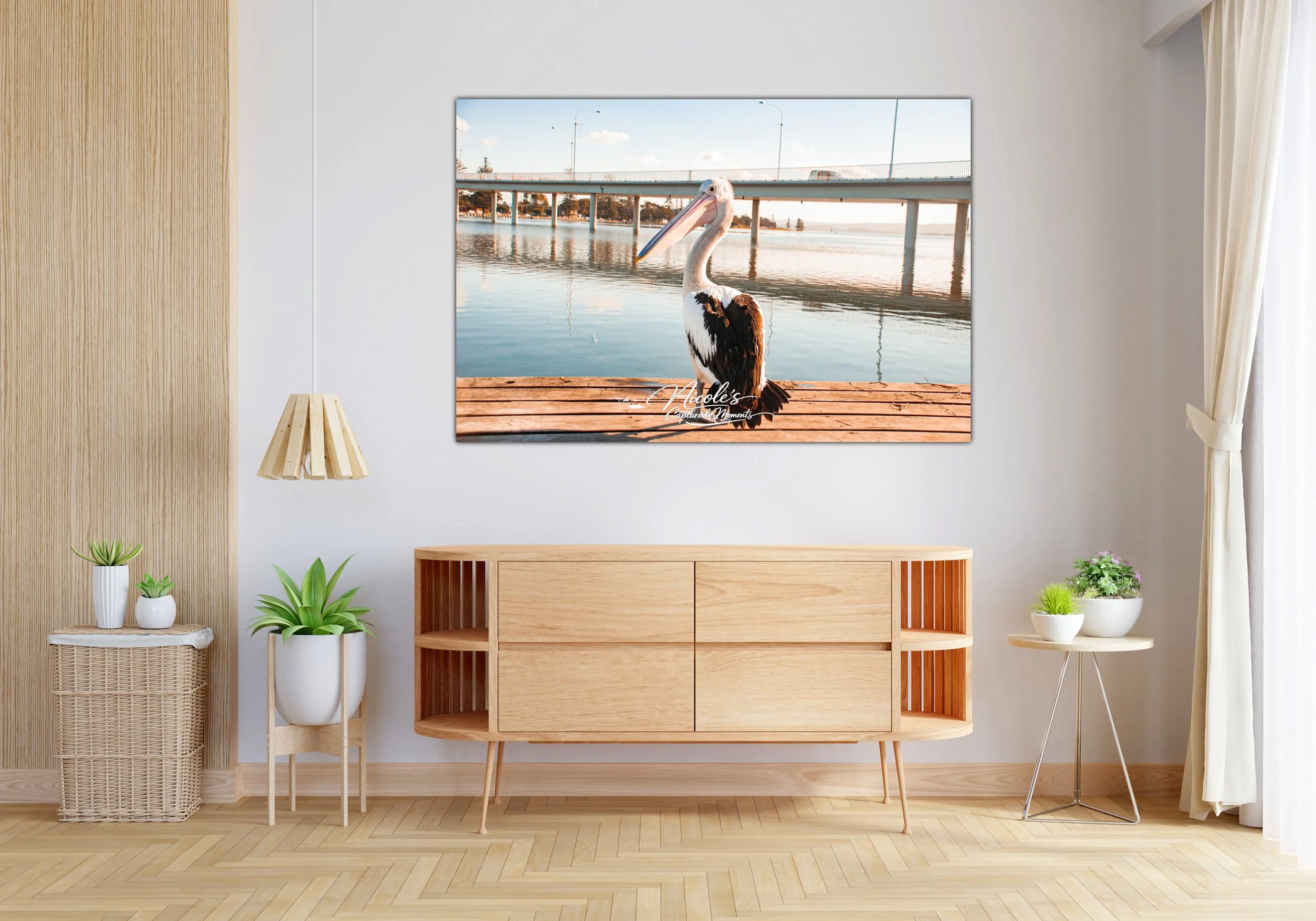 Pelican The Entrance | Wall Art Print