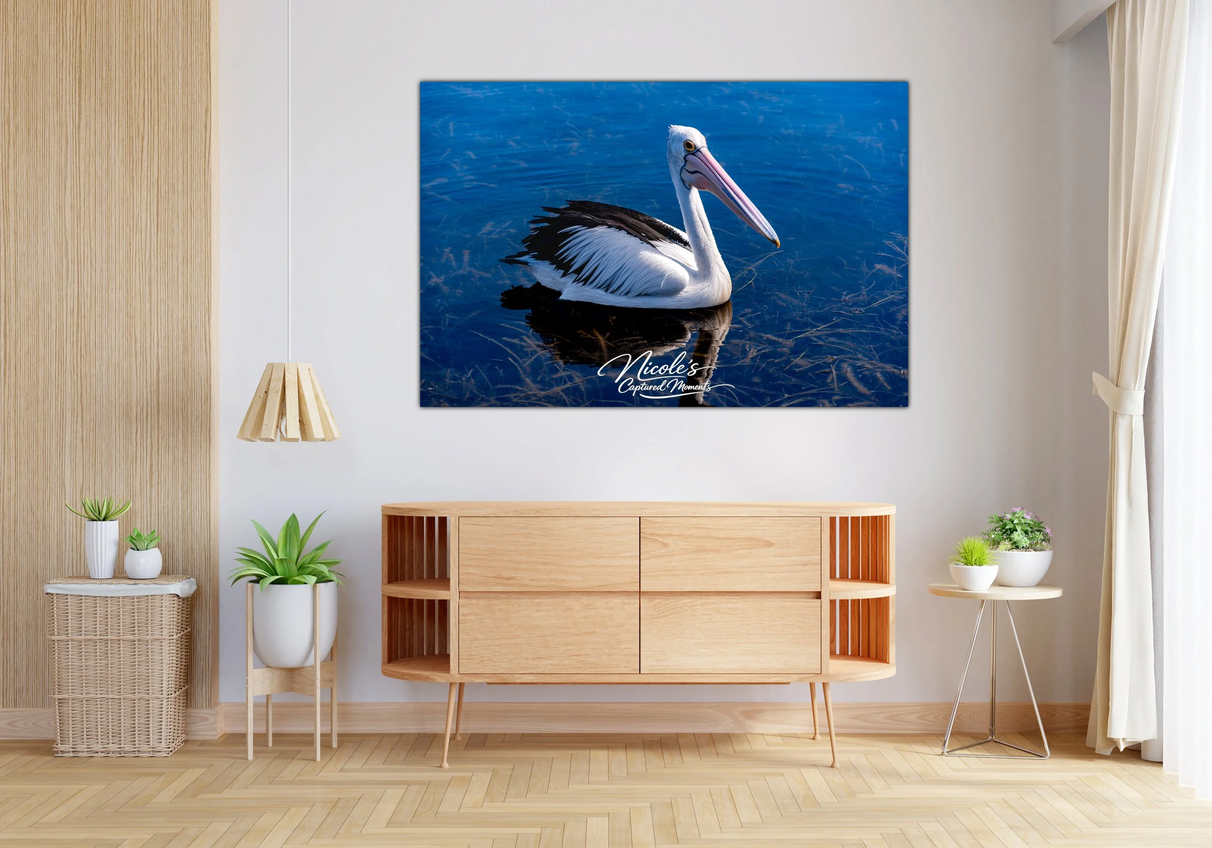 Pelican | Wall Art Print