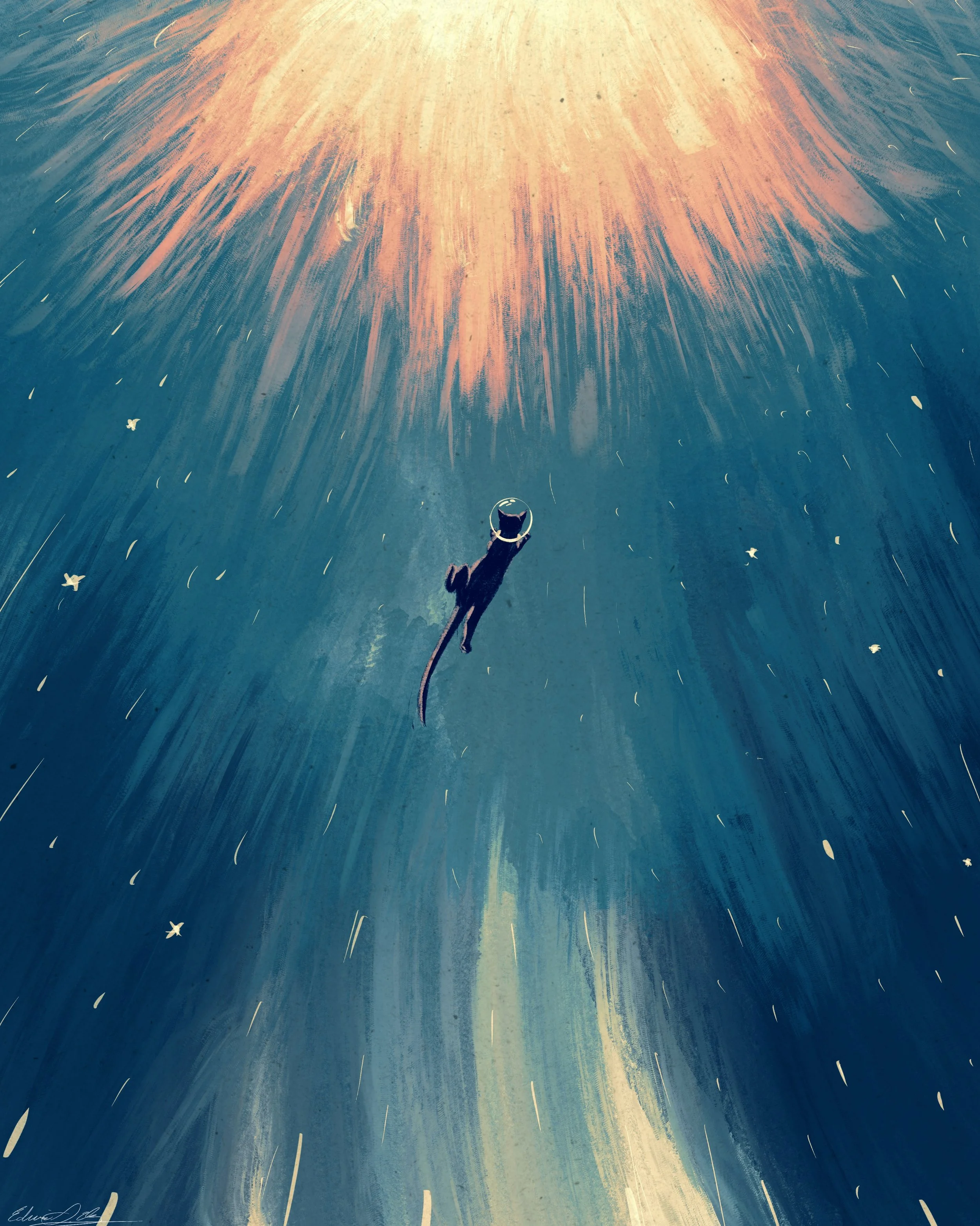 A person holding a black cat on a leash, walking on a large, colorful abstract background resembling a fireworks display with streaks of pink, orange, and blue radiating outward, and small star-shaped decorations scattered around.
