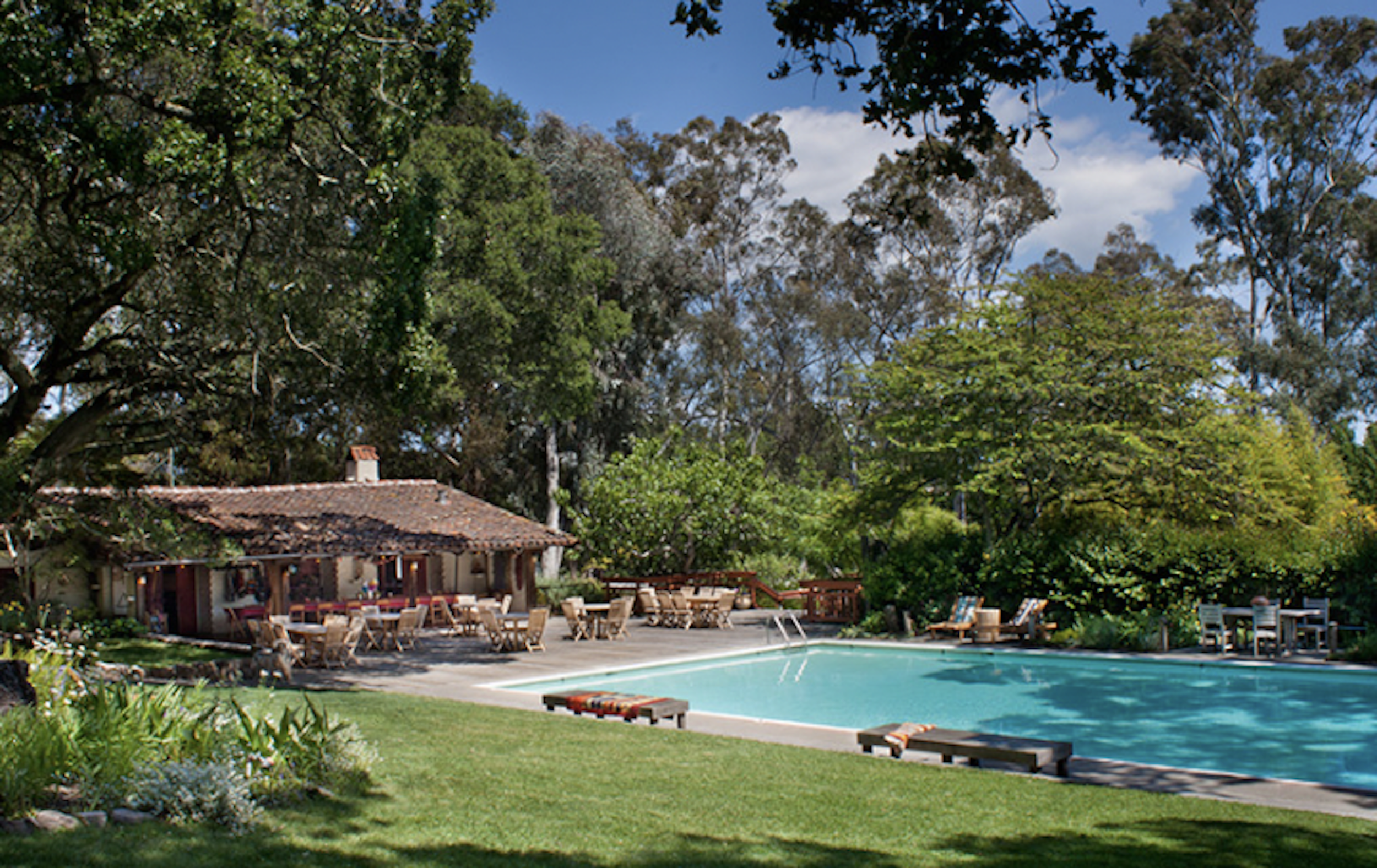 A backyard with a swimming pool, surrounded by patio furniture, a lush green lawn, and tall trees with a blue sky and some clouds overhead.