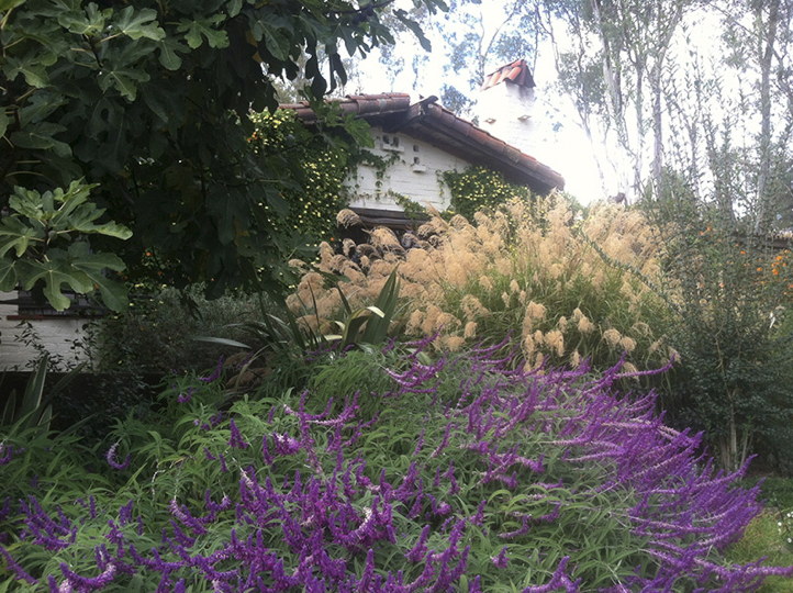 Colorful garden with purple and beige flowers in front of a small white house with a sloped red roof, surrounded by green trees and shrubs.
