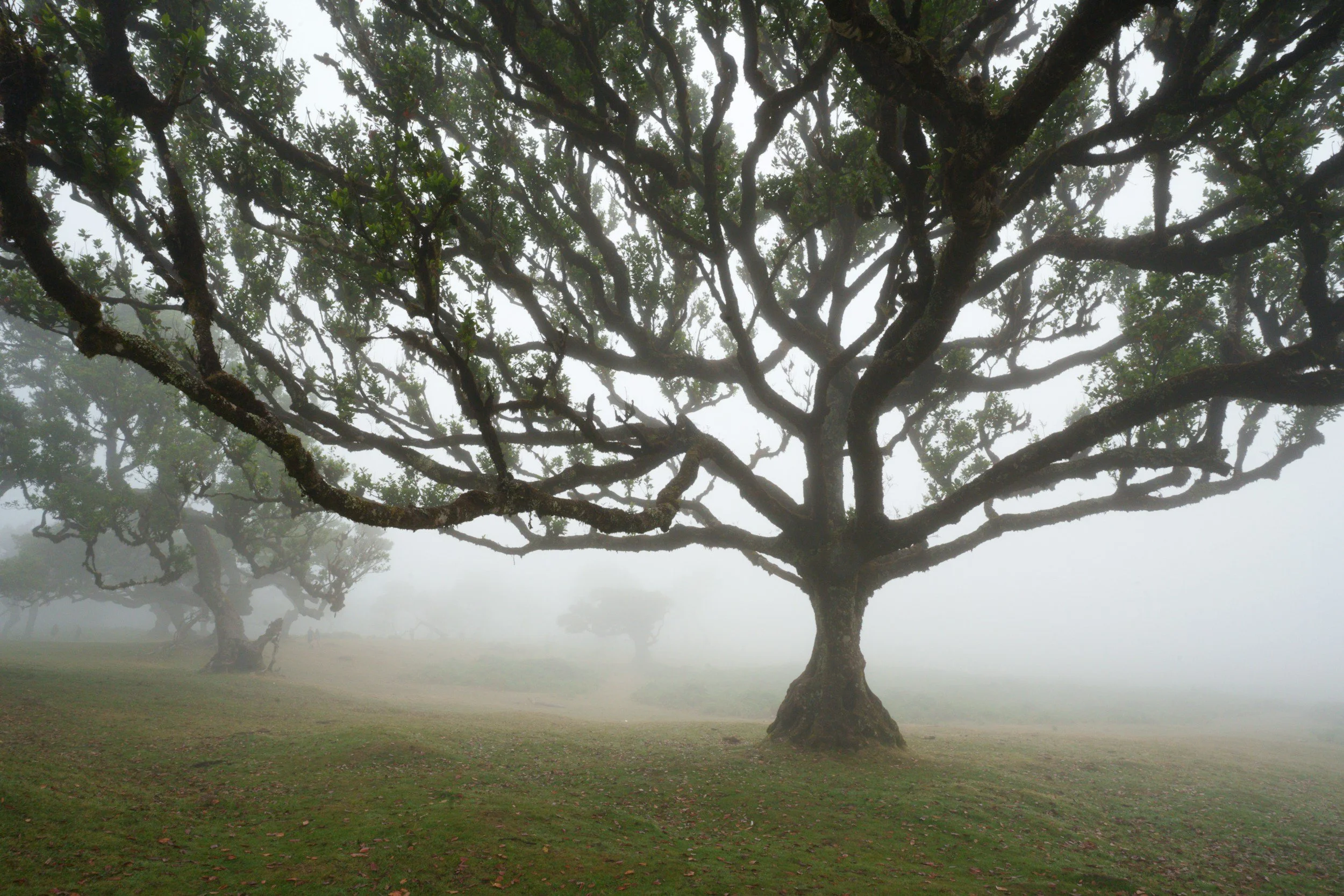 Patrescence Meets Grief, Too
