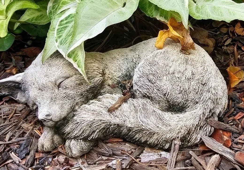 Why 'Sleeping Fox'?