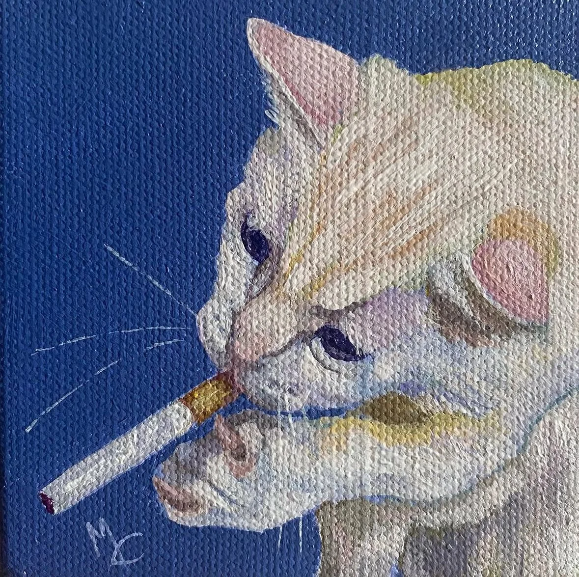 CigCat.jpeg