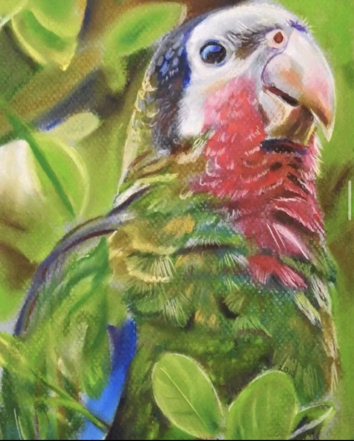 Colorful painting of a parrot with a lush green background.