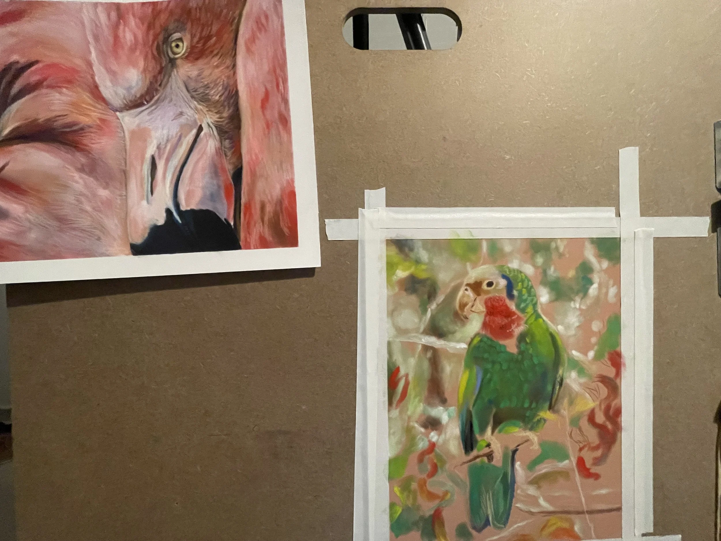 Two pastel drawings of a parrot on display, one featuring a close-up of a flamingo's face with vivid colors, and the other showing a colorful parrot perched on a branch.