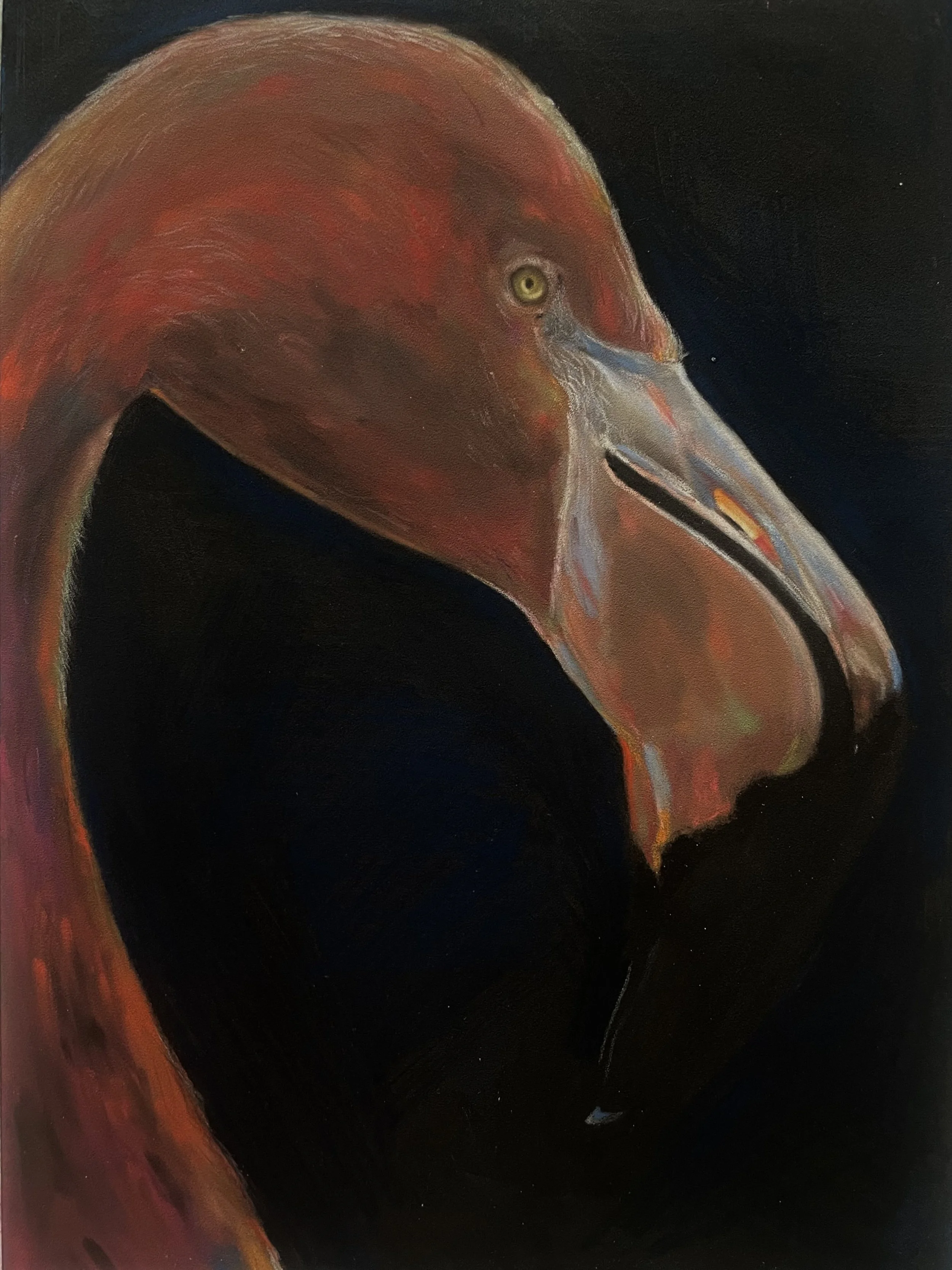 A painting of a flamingo with a black background, showing the bird's head and long neck.