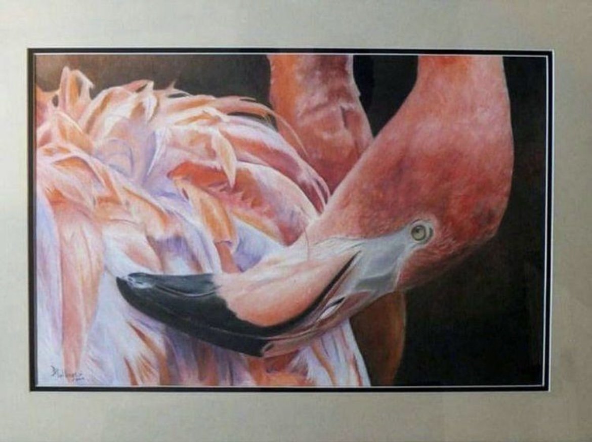 A painting of a flamingo with its head turned upside down, resting on its body, with pink, white, and black feathers against a dark background.