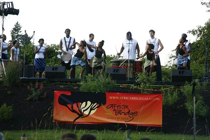 africa bridge ajw1545.JPG