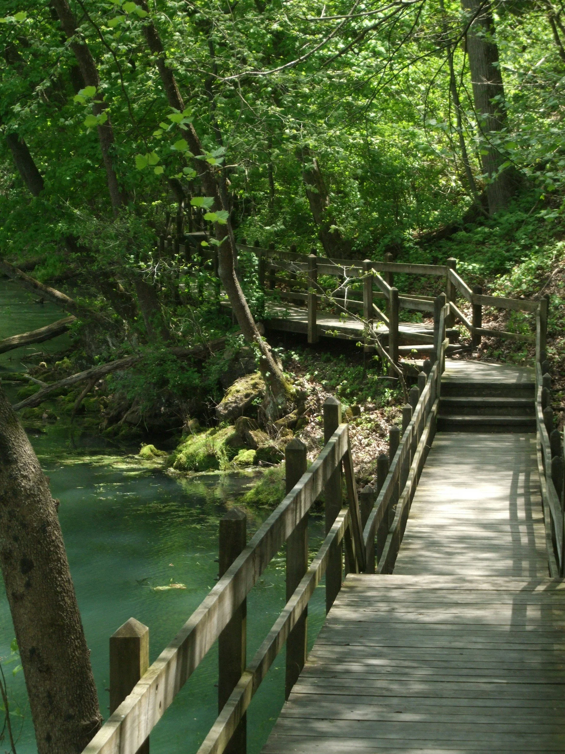 Wooden boardwalk trail surrounded by green trees and vegetation by a calm body of water. | The Storage Coop offers affordable 10×10 storage units with online reservations and monthly rentals in Mountain View, Missouri.