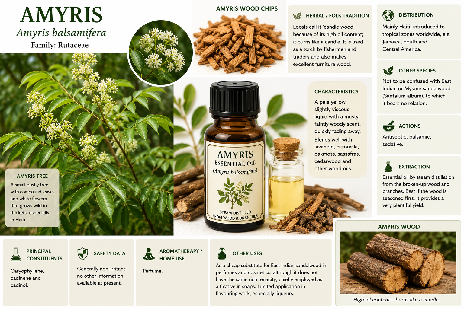 Essential Oil - Amyris 